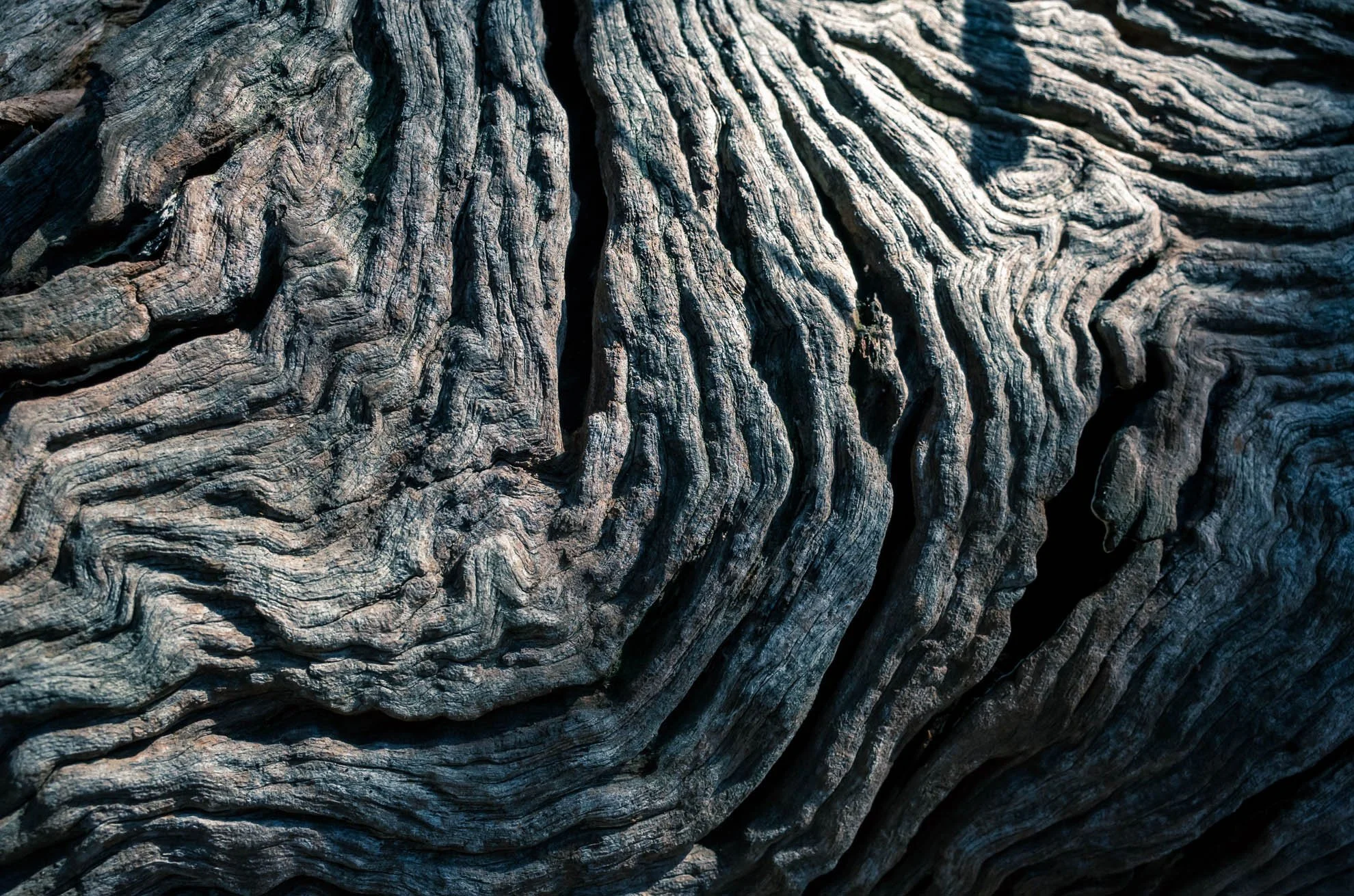 Close-up of weathered, textured wood with deep grooves and cracks.