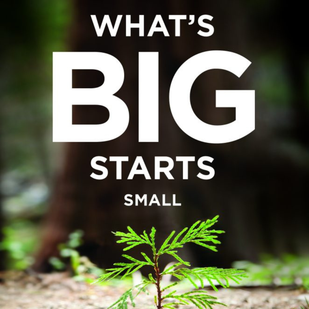 FOL LG What's Big.png