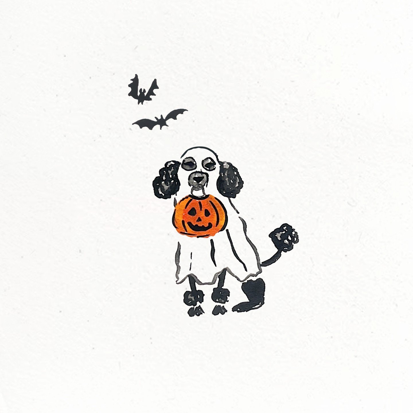 It&rsquo;s spooky season! Share your favorite furry friend with your bestie 🎃