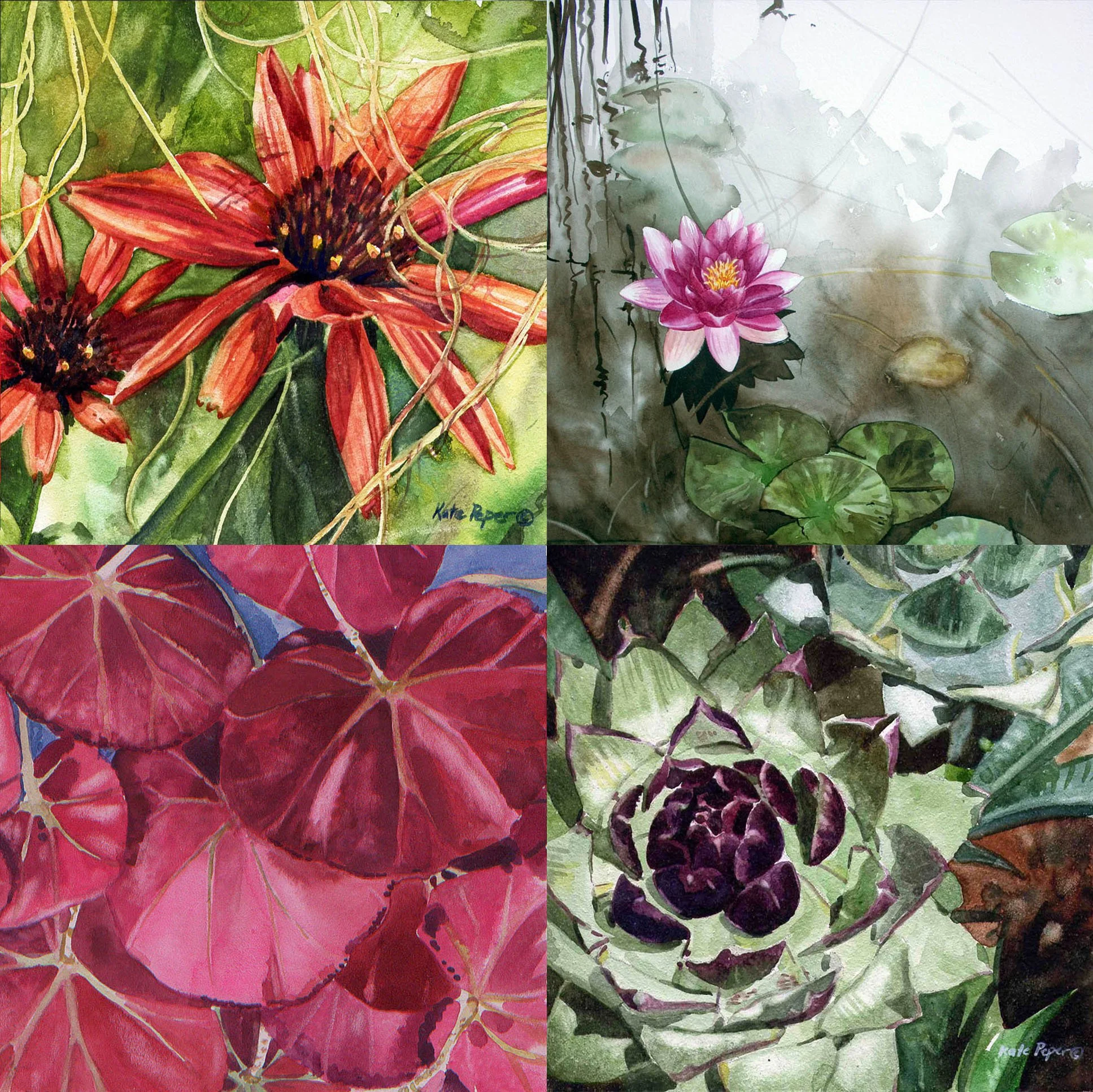 Flower Magnet Pack.3.jpg
