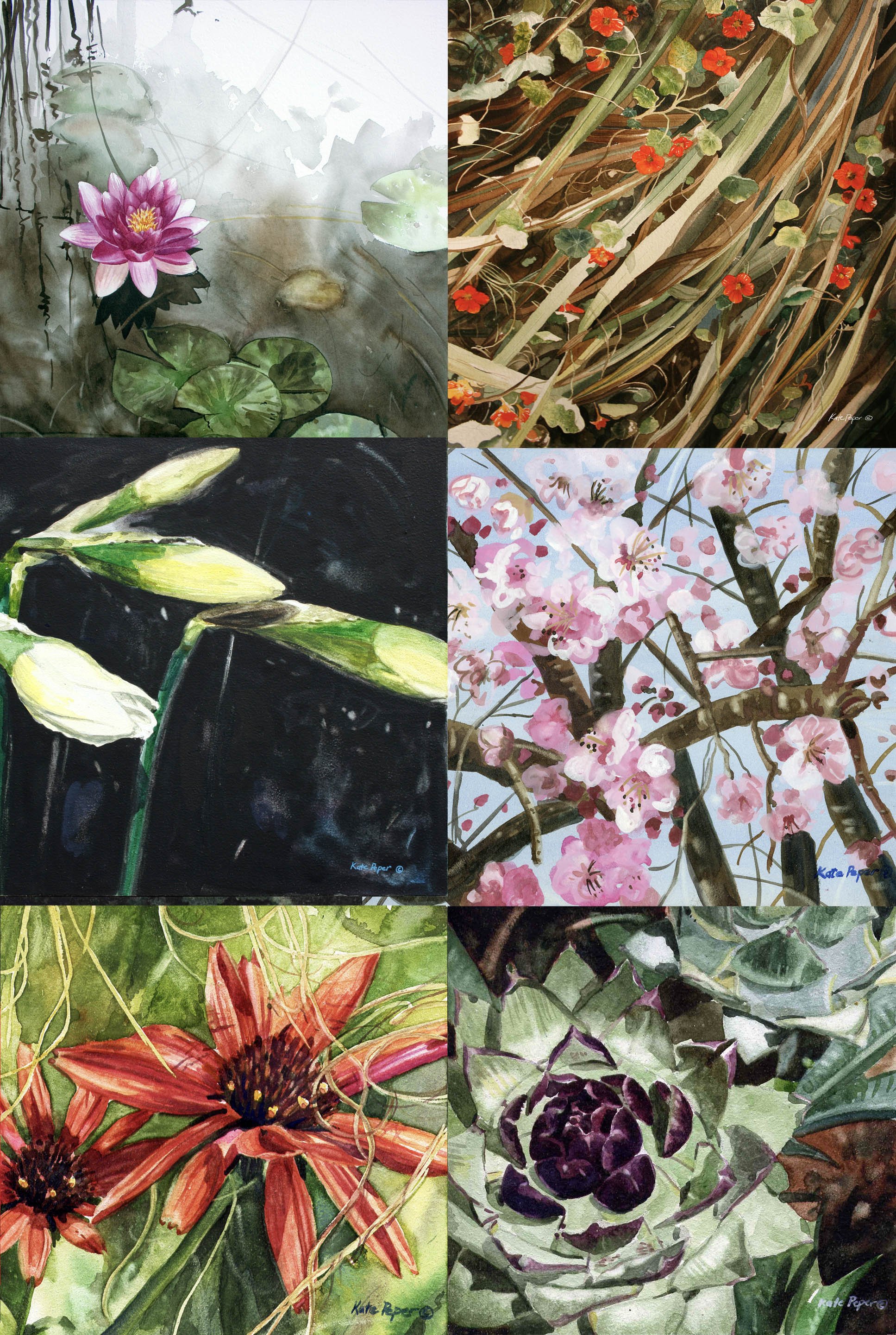 FloralMulti.3.jpg