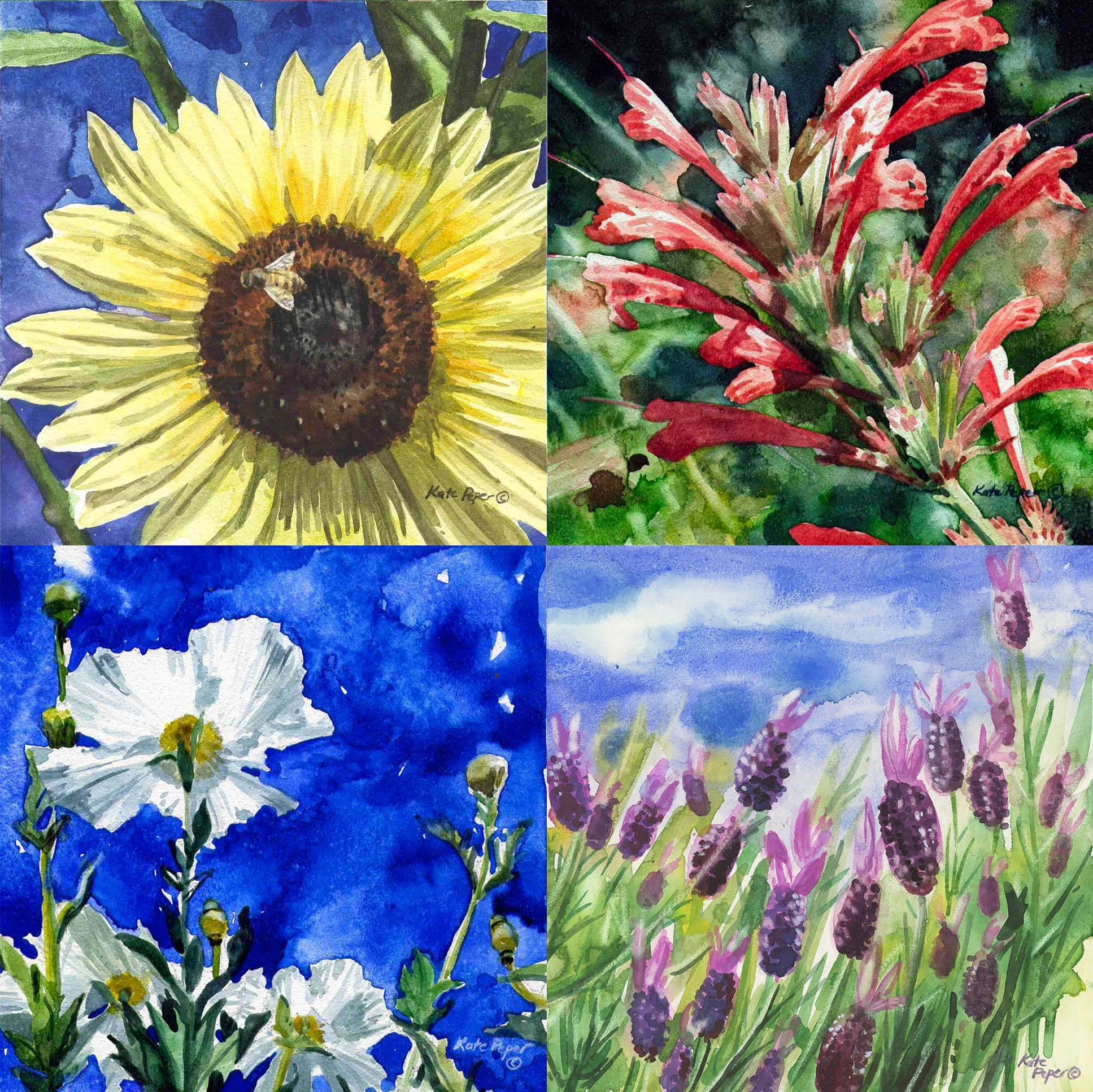 Flower Magnet Pack.1 copy.jpg