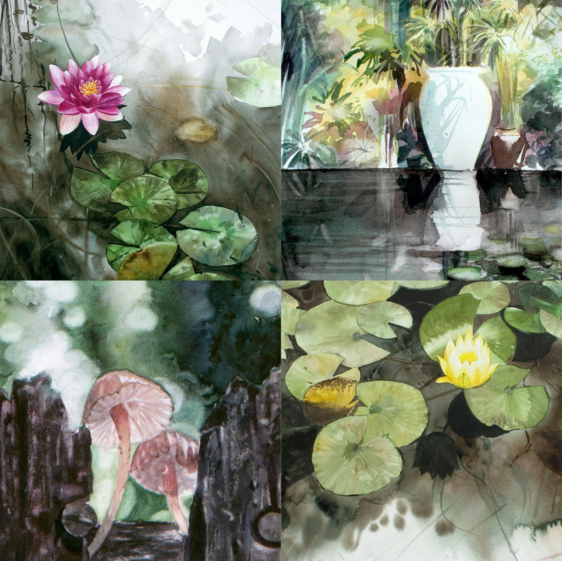 Nature Magnet Pack.2.jpg