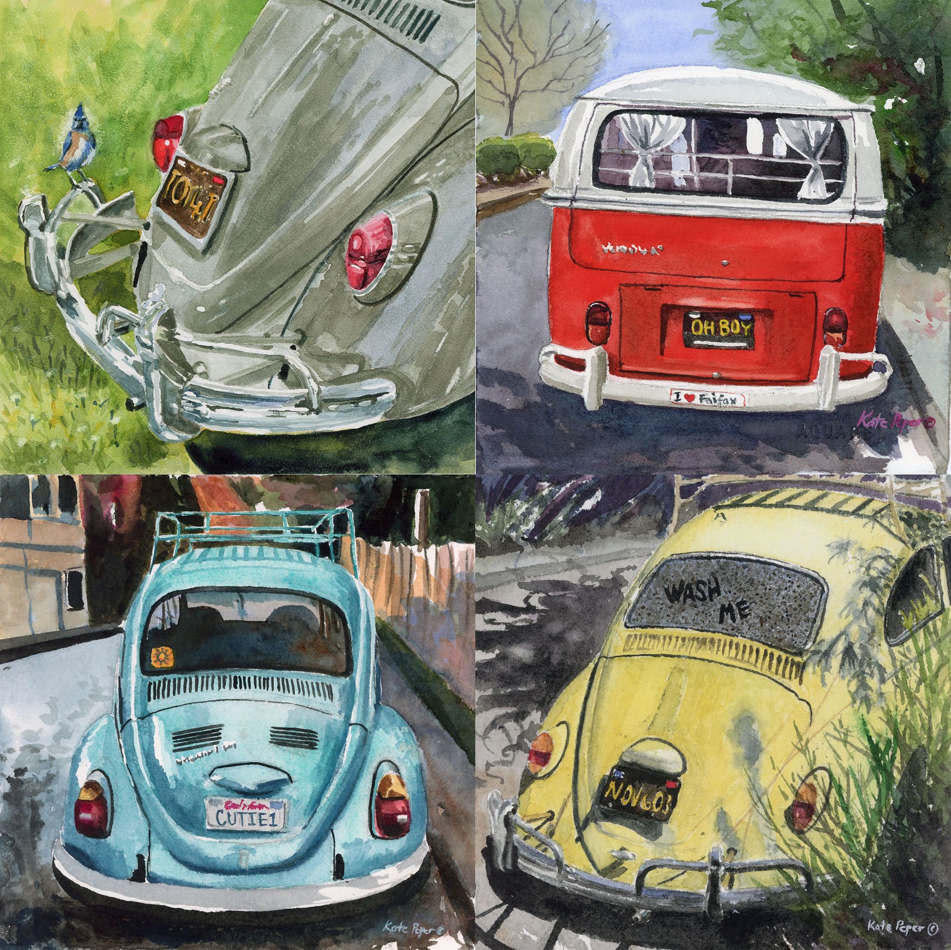 VW Magnet Pack.4.jpg