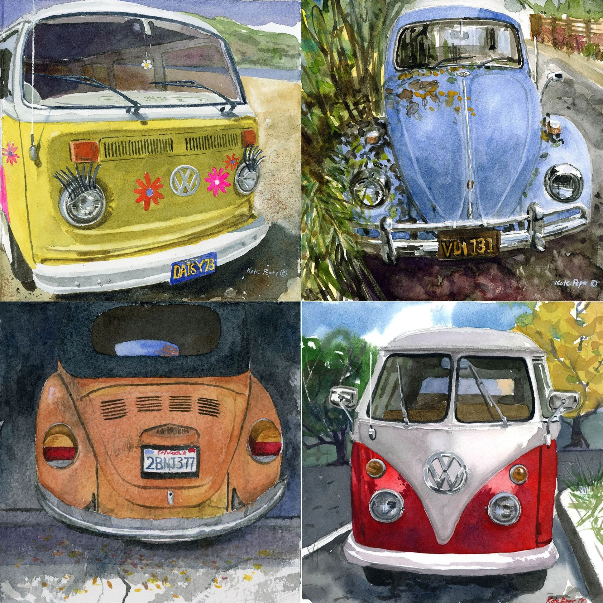 VW Variety Pack 3