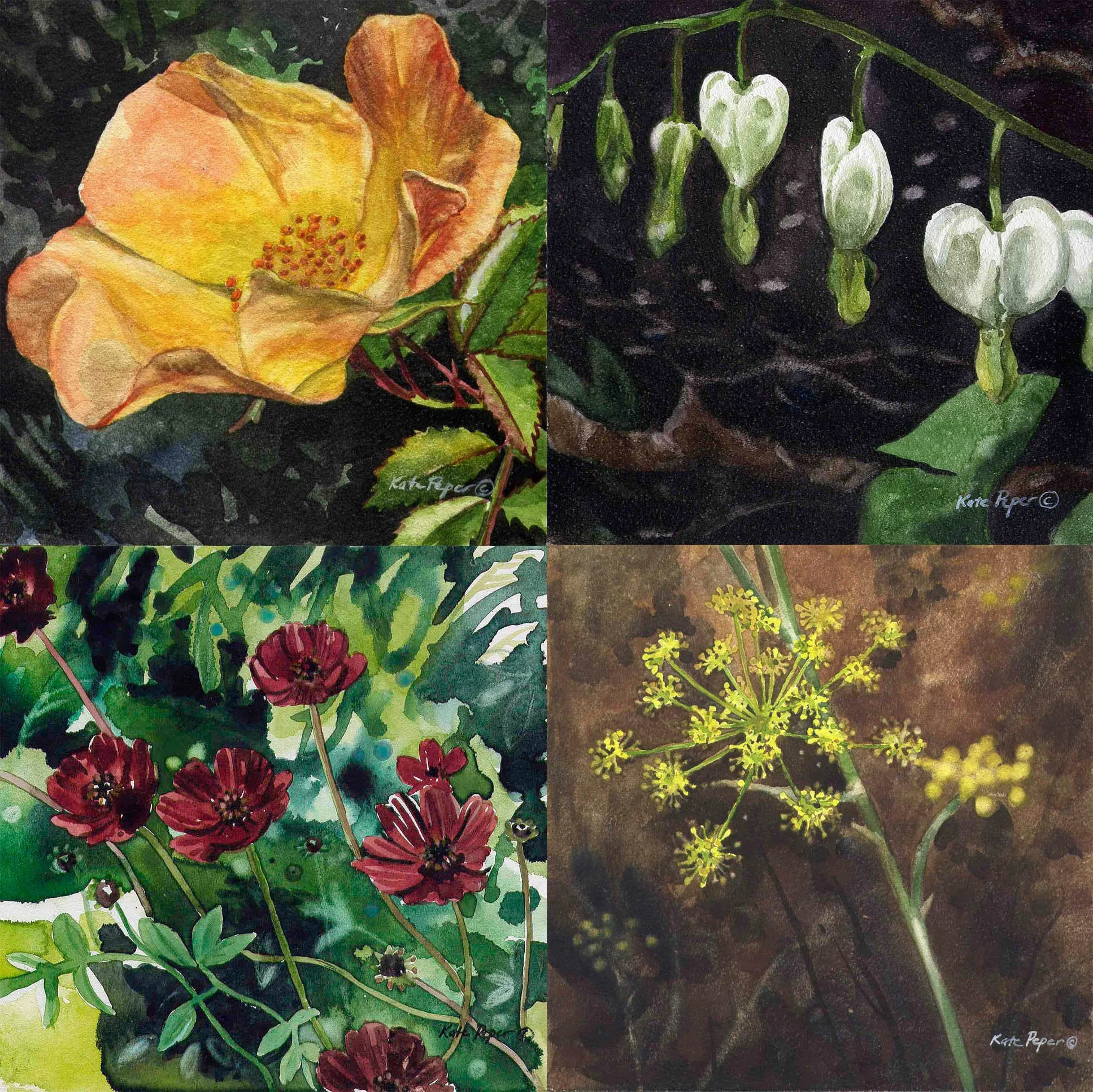 Flower Magnet Pack.4.jpg