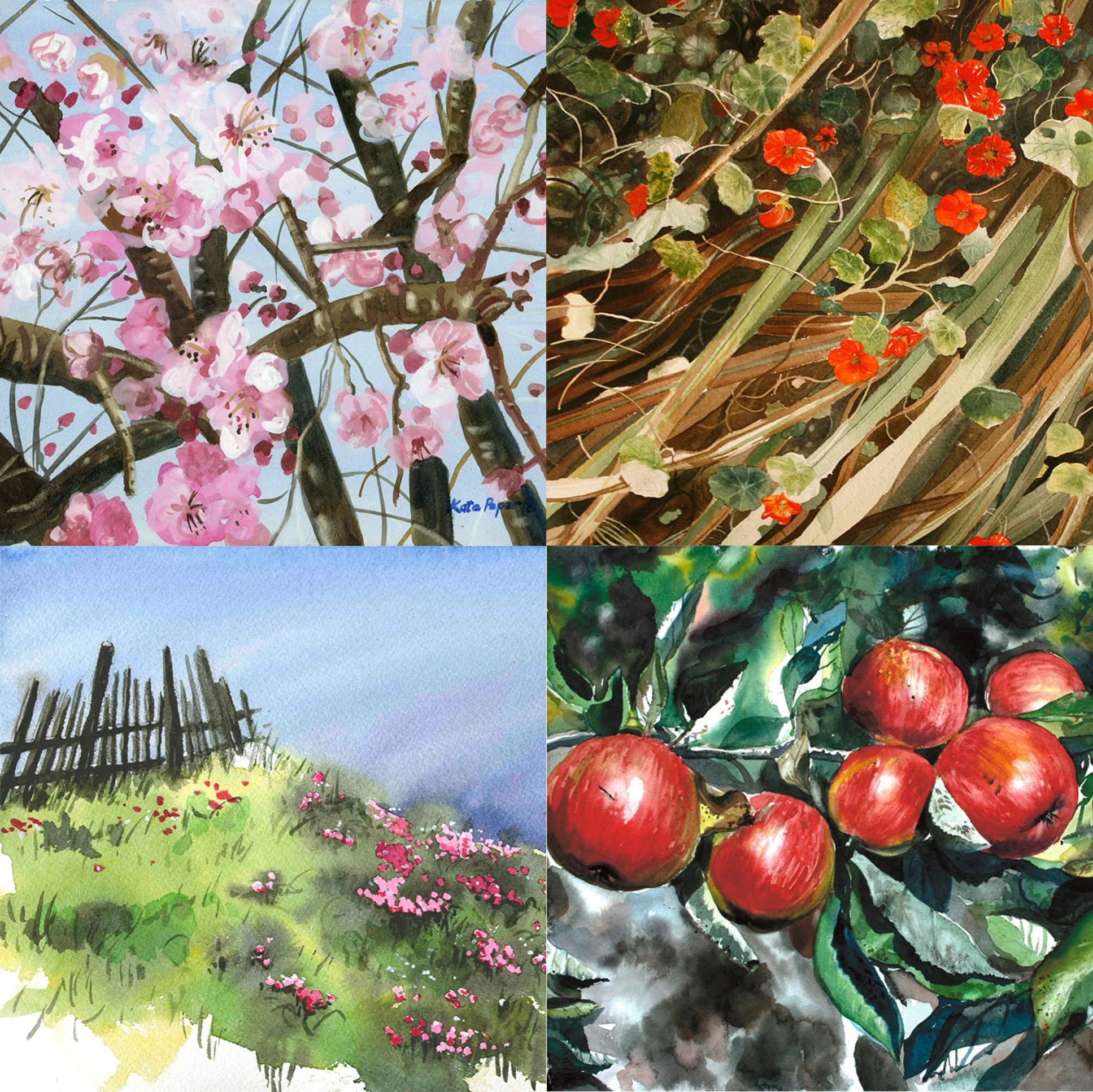 Nature Magnet Pack.4.jpg