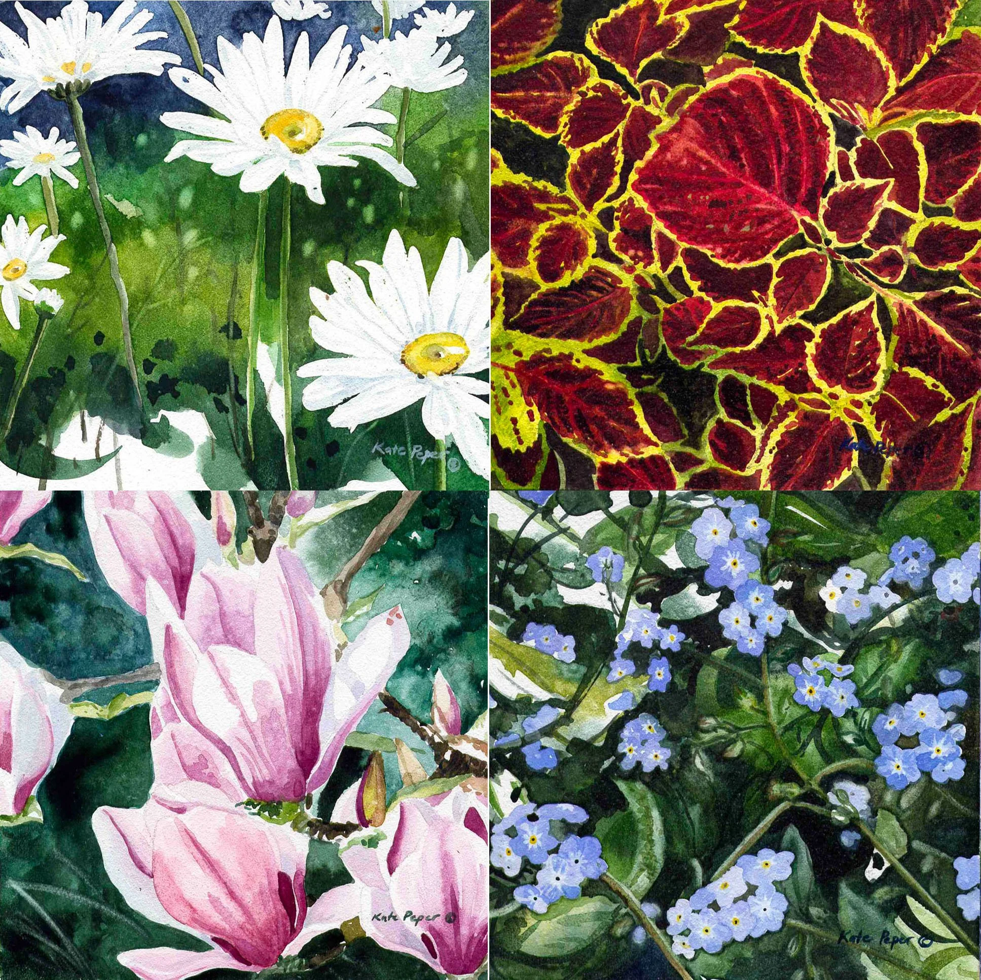 Flower Magnet Pack.2.jpg