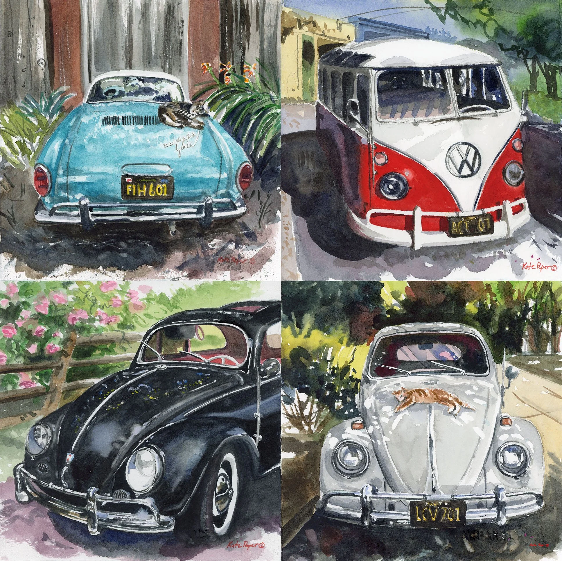 VW Magnet Pack.2.jpg