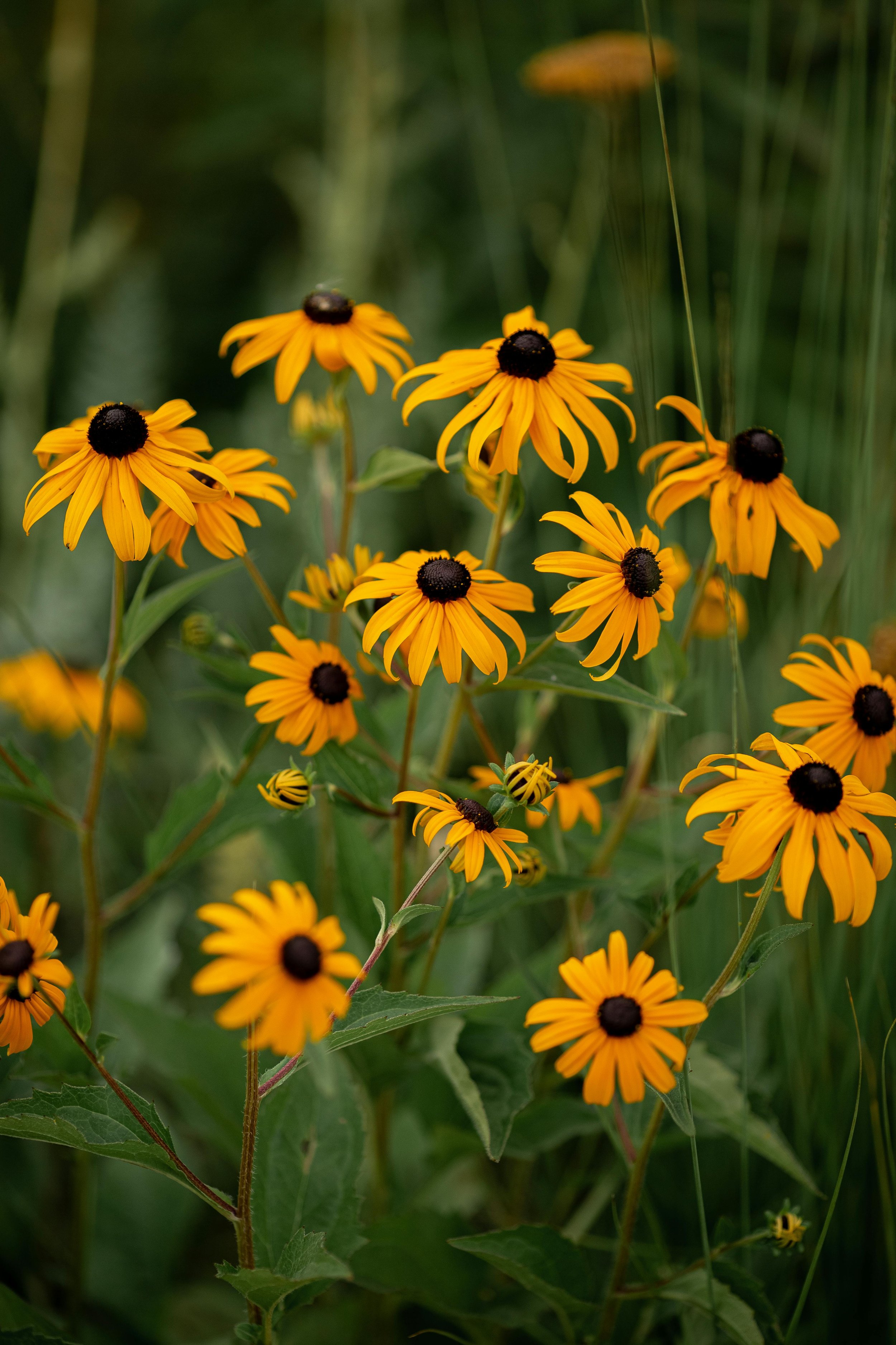 Episode 3 • Connecting Rural and Urban Horticulture with Christina Reid