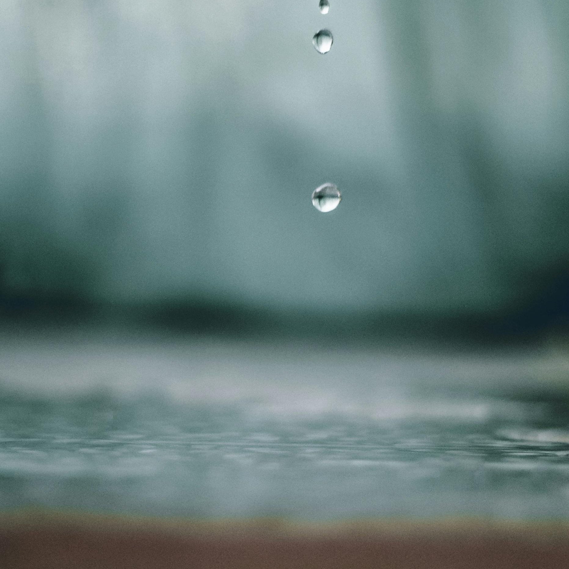 Episode 12 • One Drop at a Time with Heather Johnson