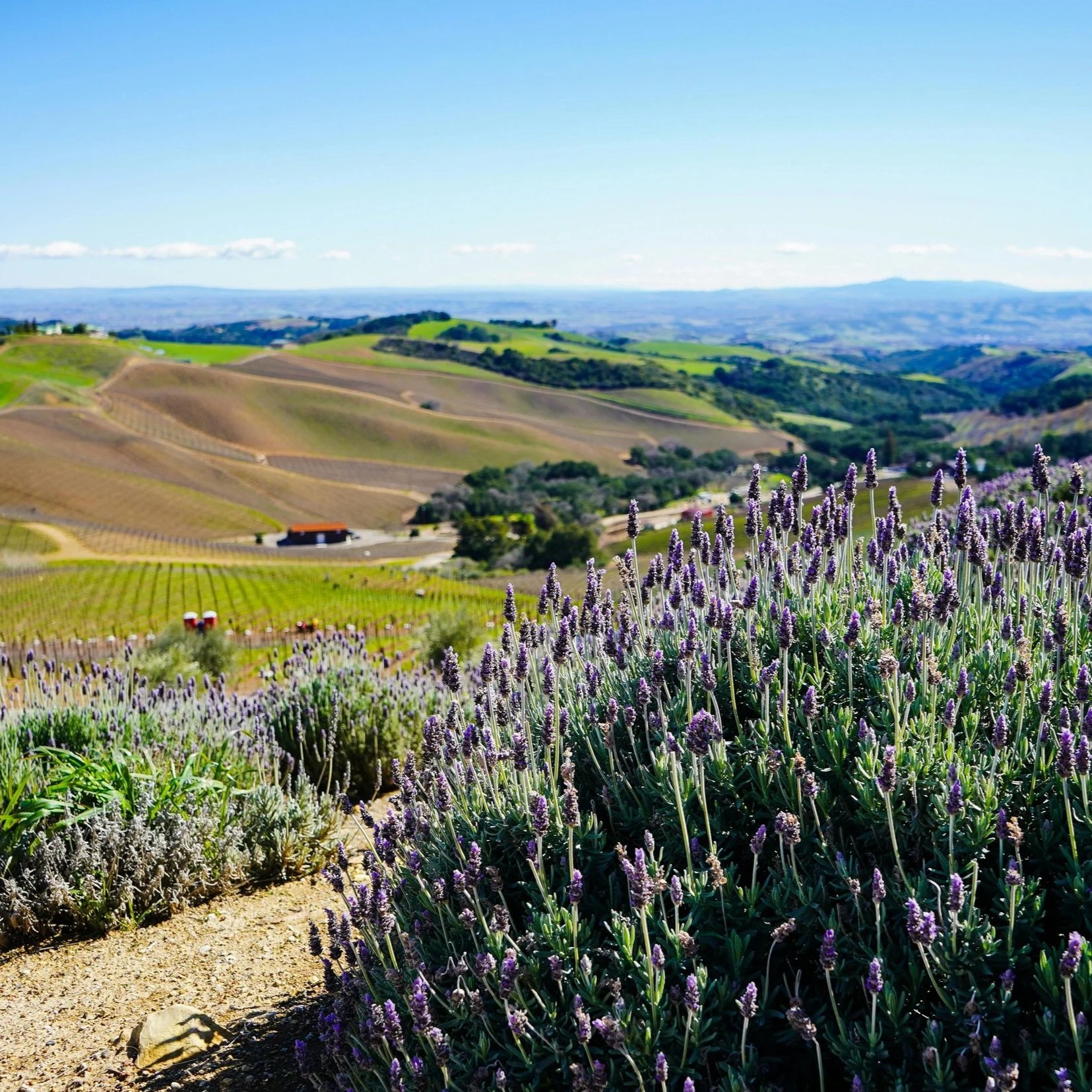 Episode 92: What California Can Teach Agriculture 