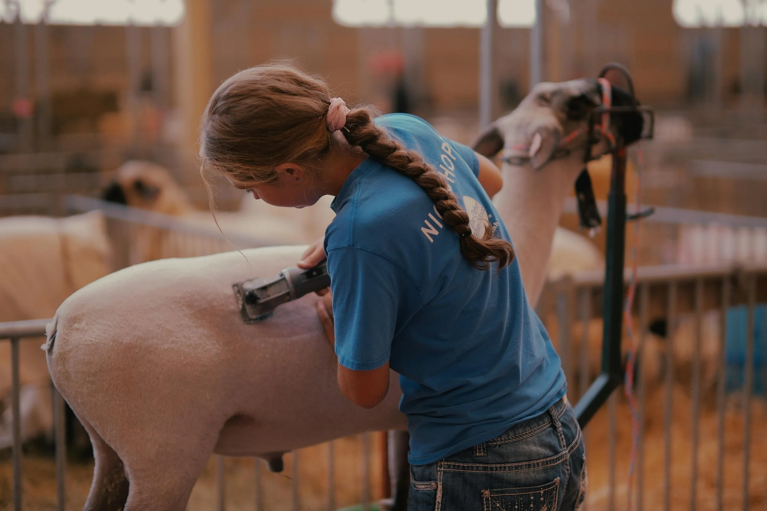 Episode 97: FFA, Agriculture, and the Next Generation of Leaders