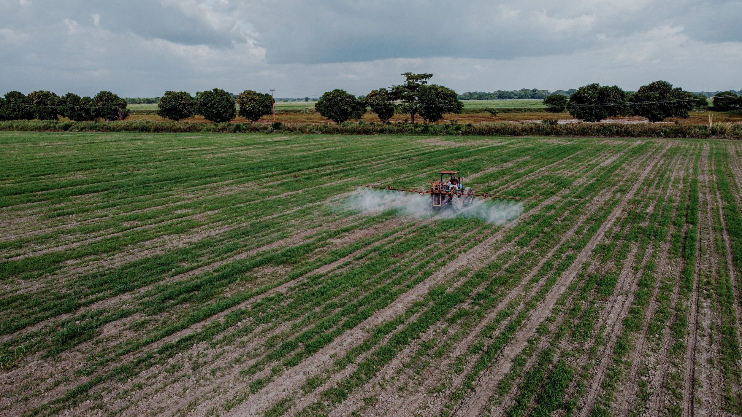 Episode 99: Pesticide Labels, Endangered Species &amp; What Growers Need to Know