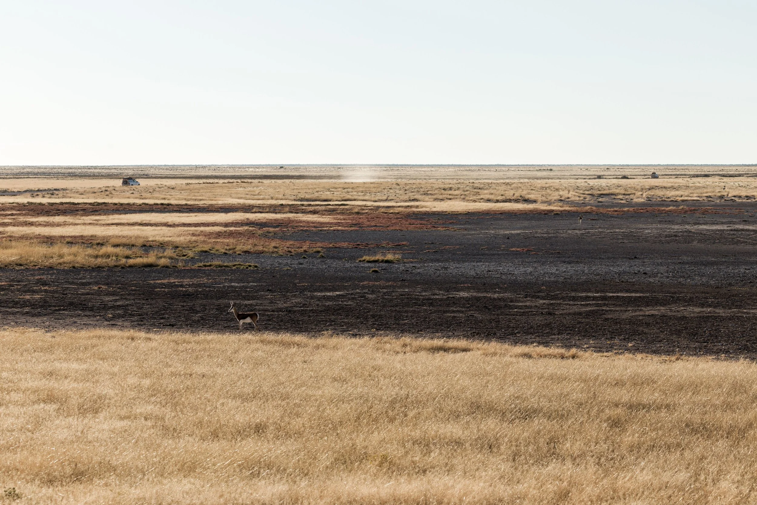 Episode 107: Rehydrating the High Plains: Small Structures, Big Water Hope