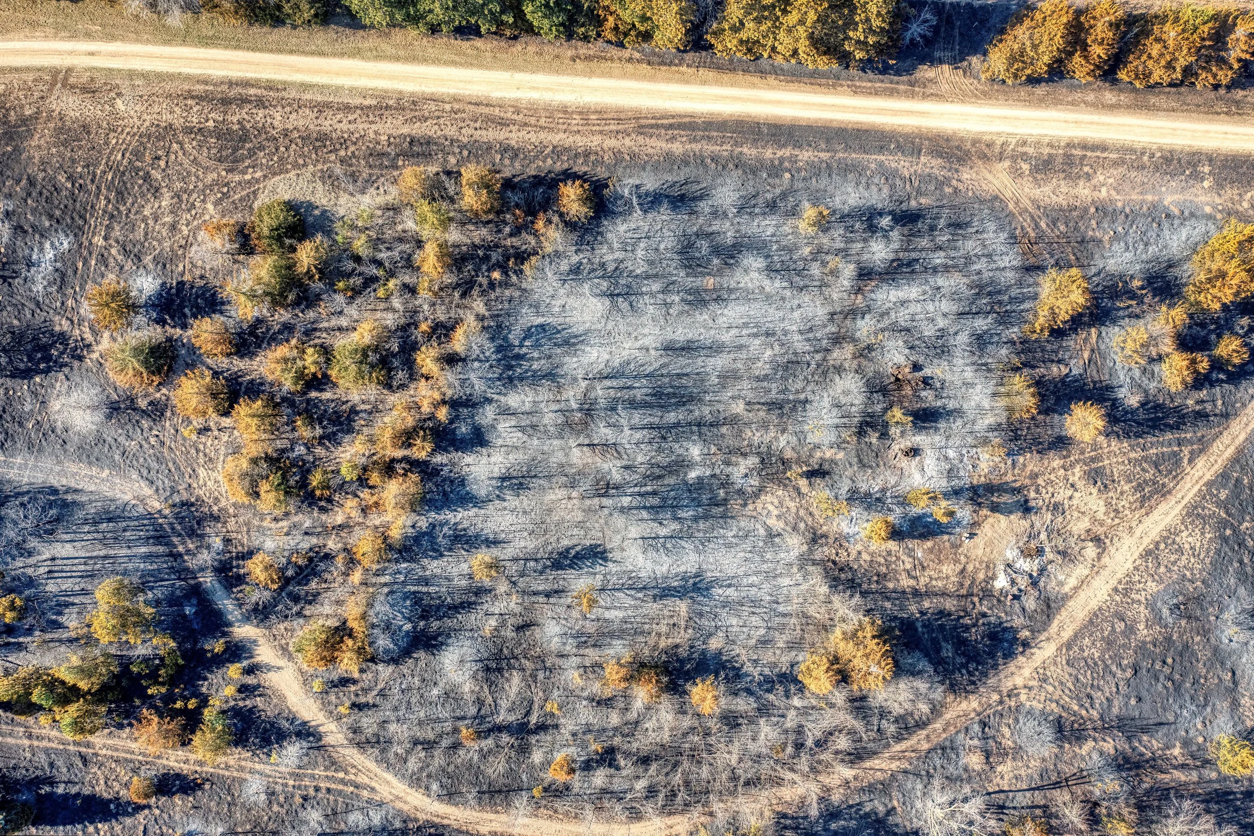 Episode 108: Leasing the Land: Renewable Energy, Conservation Easements, and the Next Generation of Stewardship