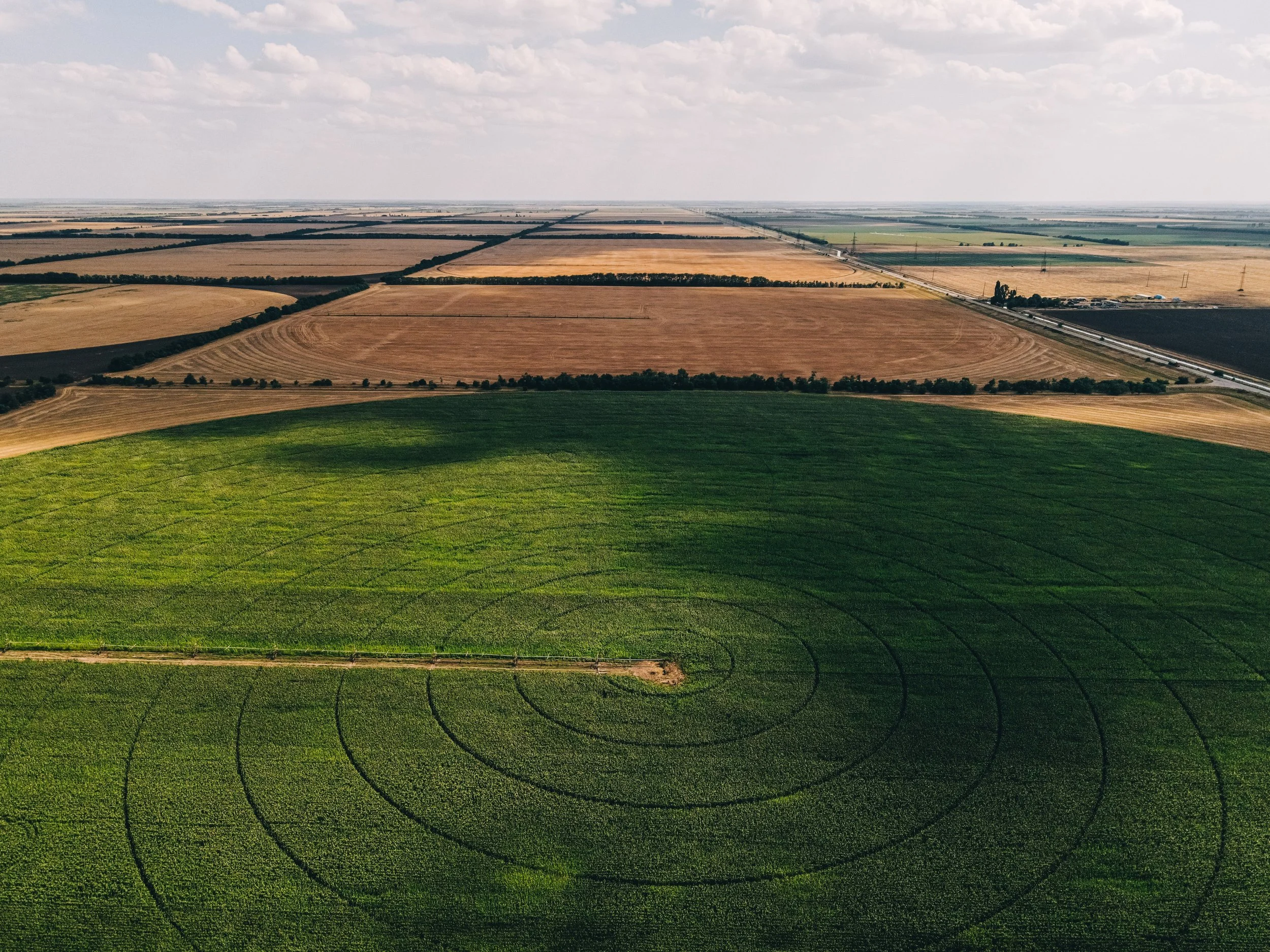 Episode 113: Keeping Farmers on the Land: Mentorship, Grazing, and the Future of Texas Agriculture