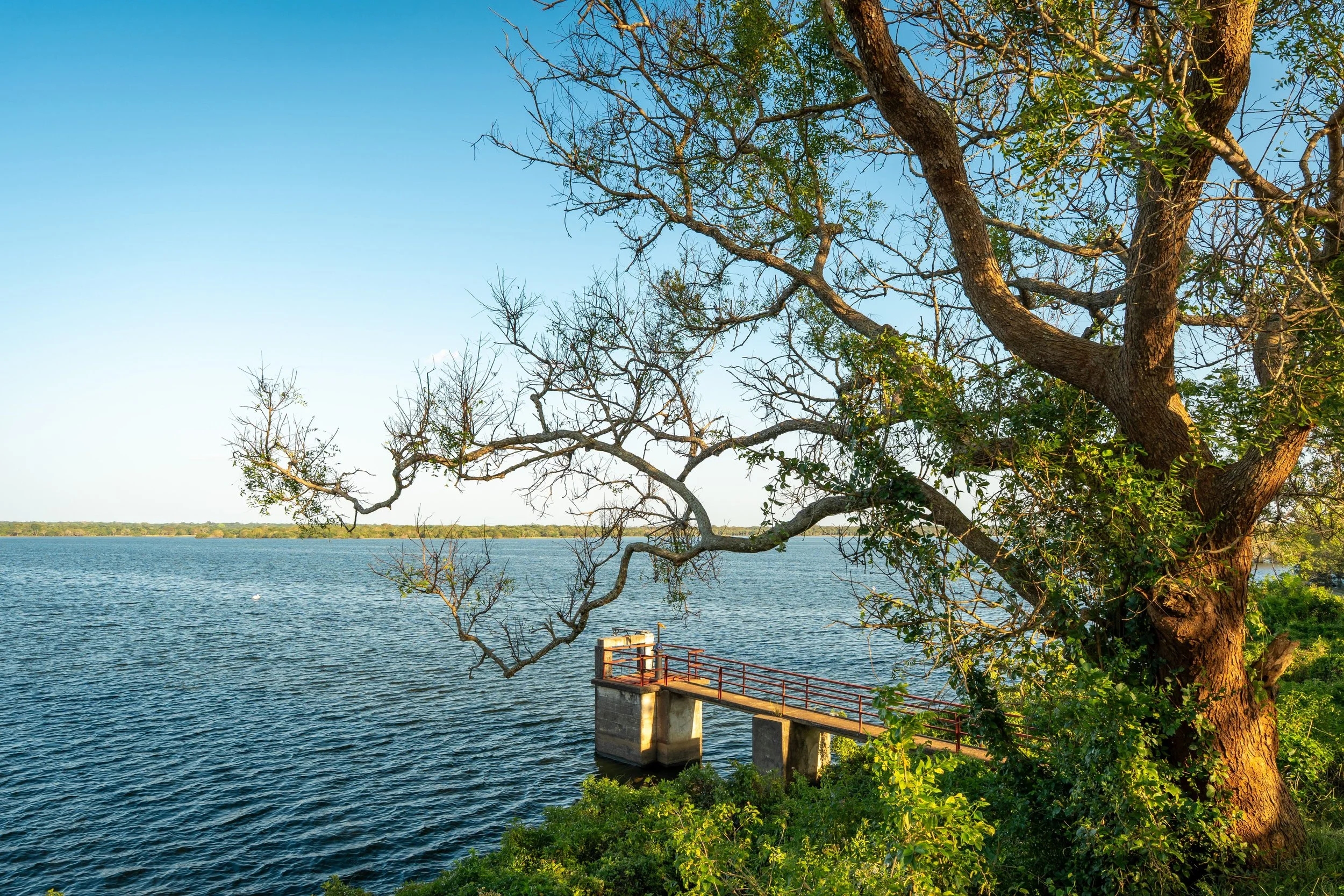 Episode 115: Playas Work for Texans: Recharge, Restoration, and Tomorrow’s Water