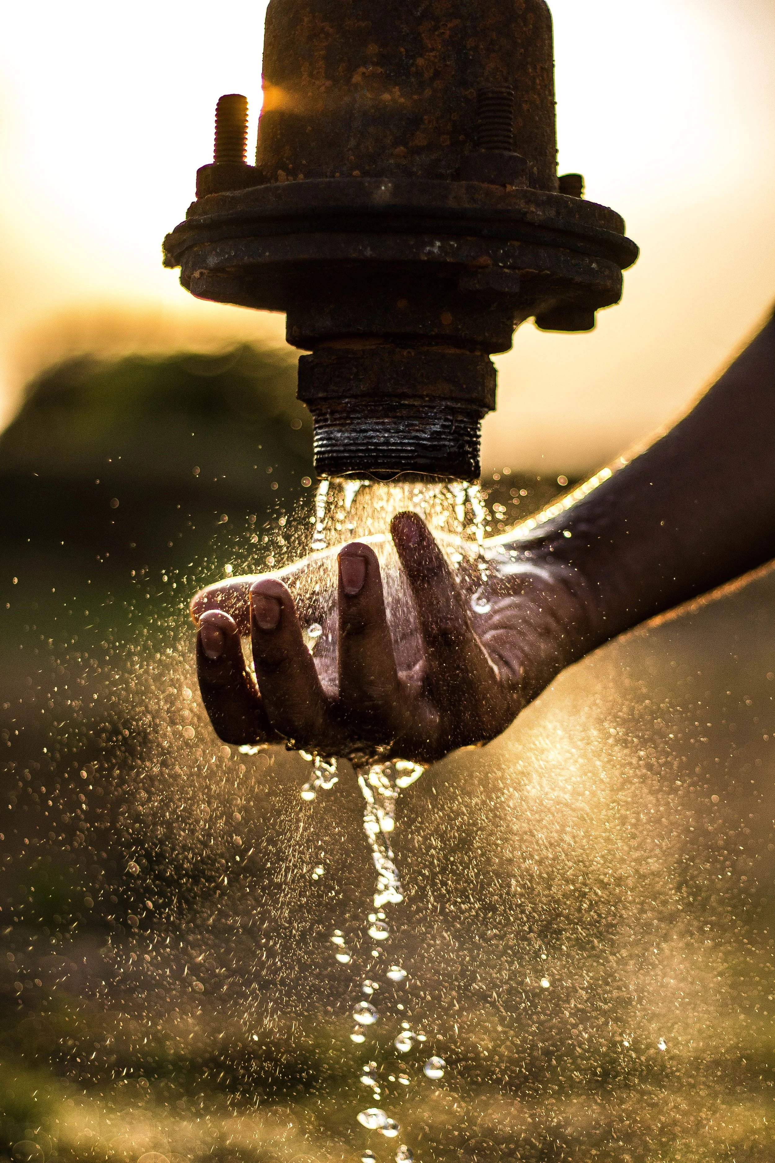 Episode 101: Turning Salty Water Into a Soil Health Solution