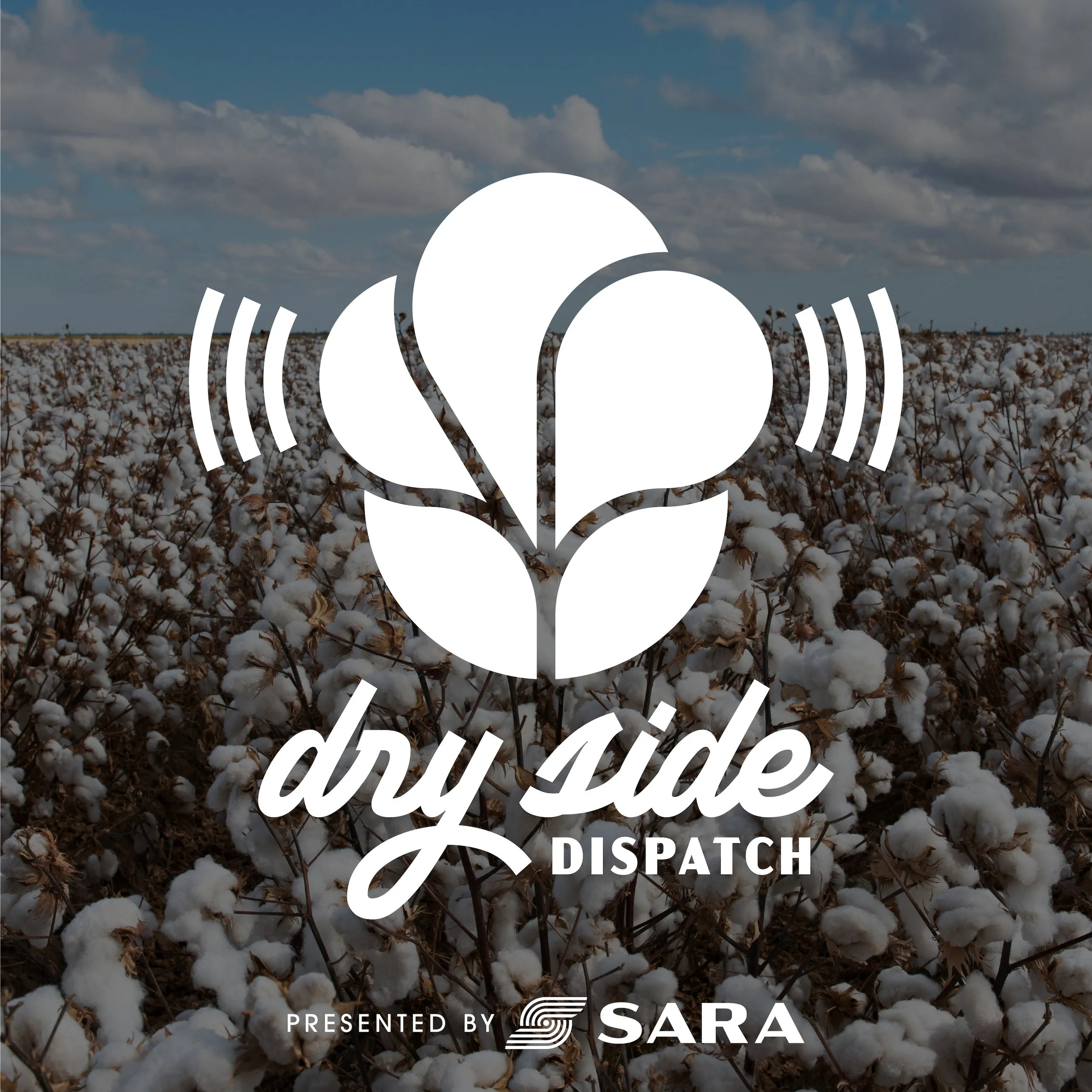 The Dry Side Dispatch • August 14th • Nick Bergfeld
