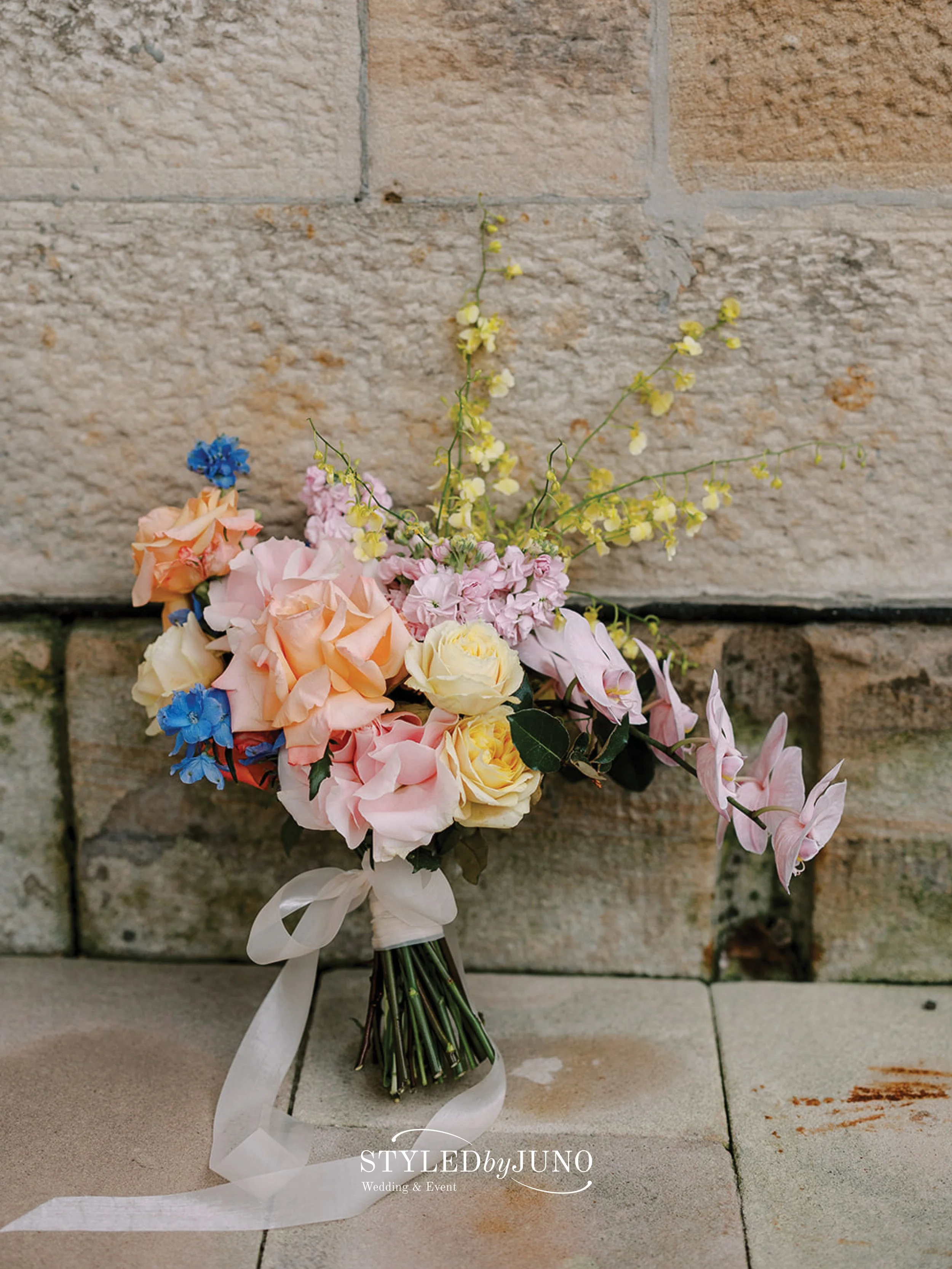 ipad logo template19 2.JPG