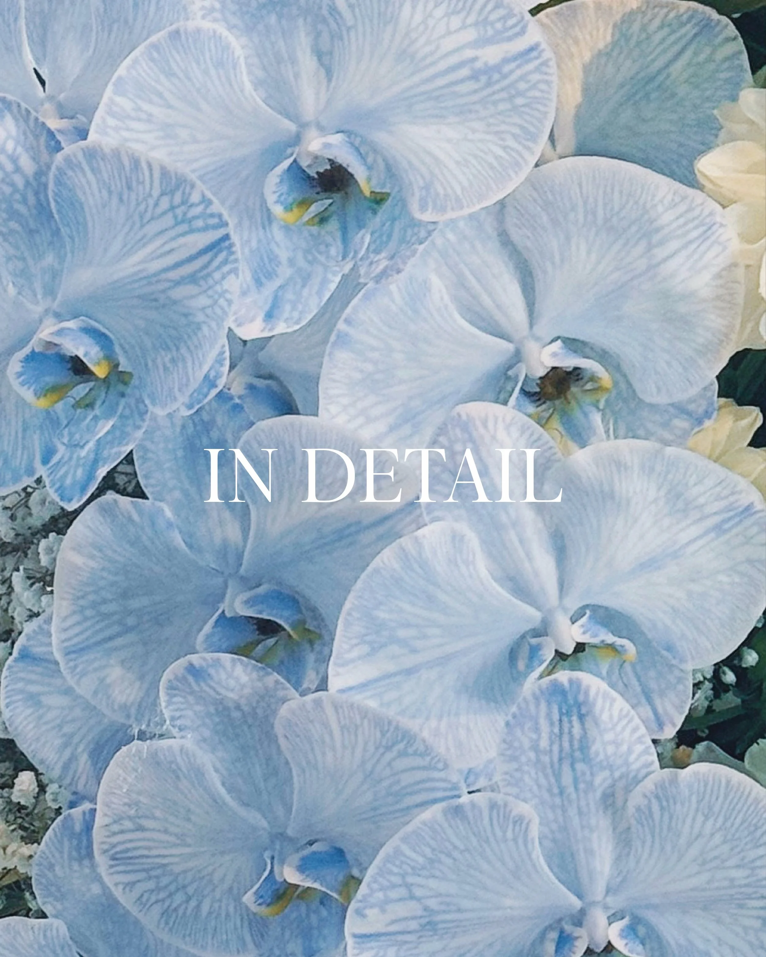 Working closely with experienced professional florists helps ensure every stem is selected, prepared and handled with care, while our design coordinators oversee the final quality and presentation on site.

#Styledbyjuno #WeddingFlorals #SydneyWeddin