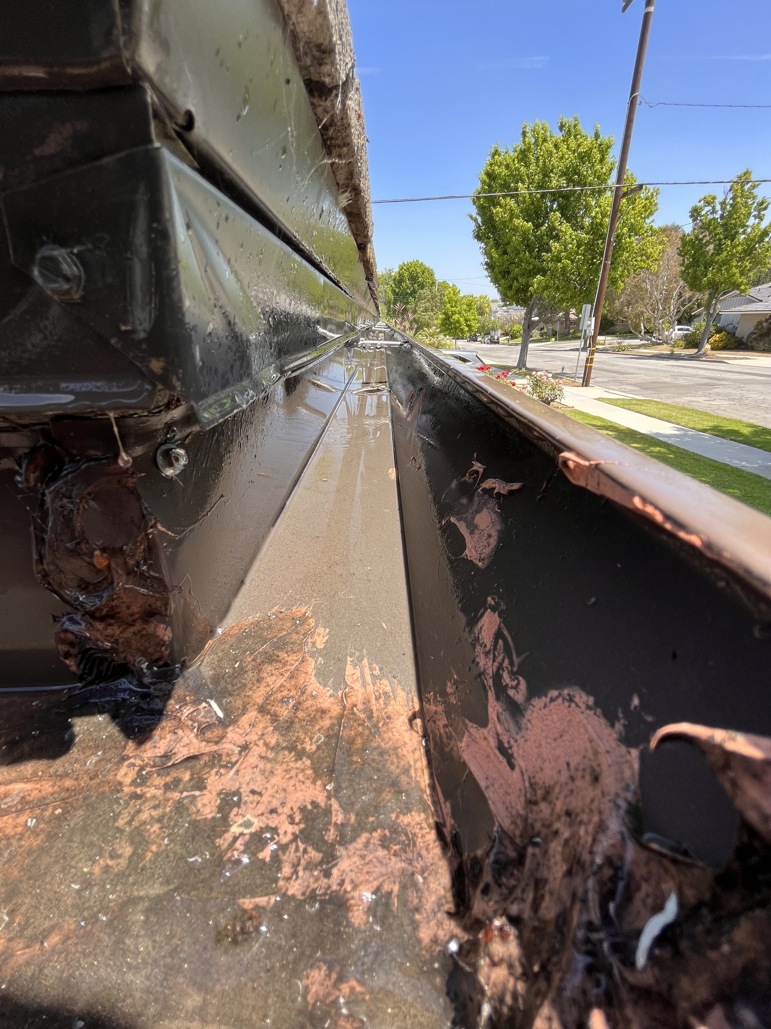 This before photo highlights a severely clogged gutter packed with leaves and debris on a residential roof in Long Beach, CA. At Guru Solar Cleaning, we also specialize in professional gutter cleaning services, helping homeowners maintain roof health