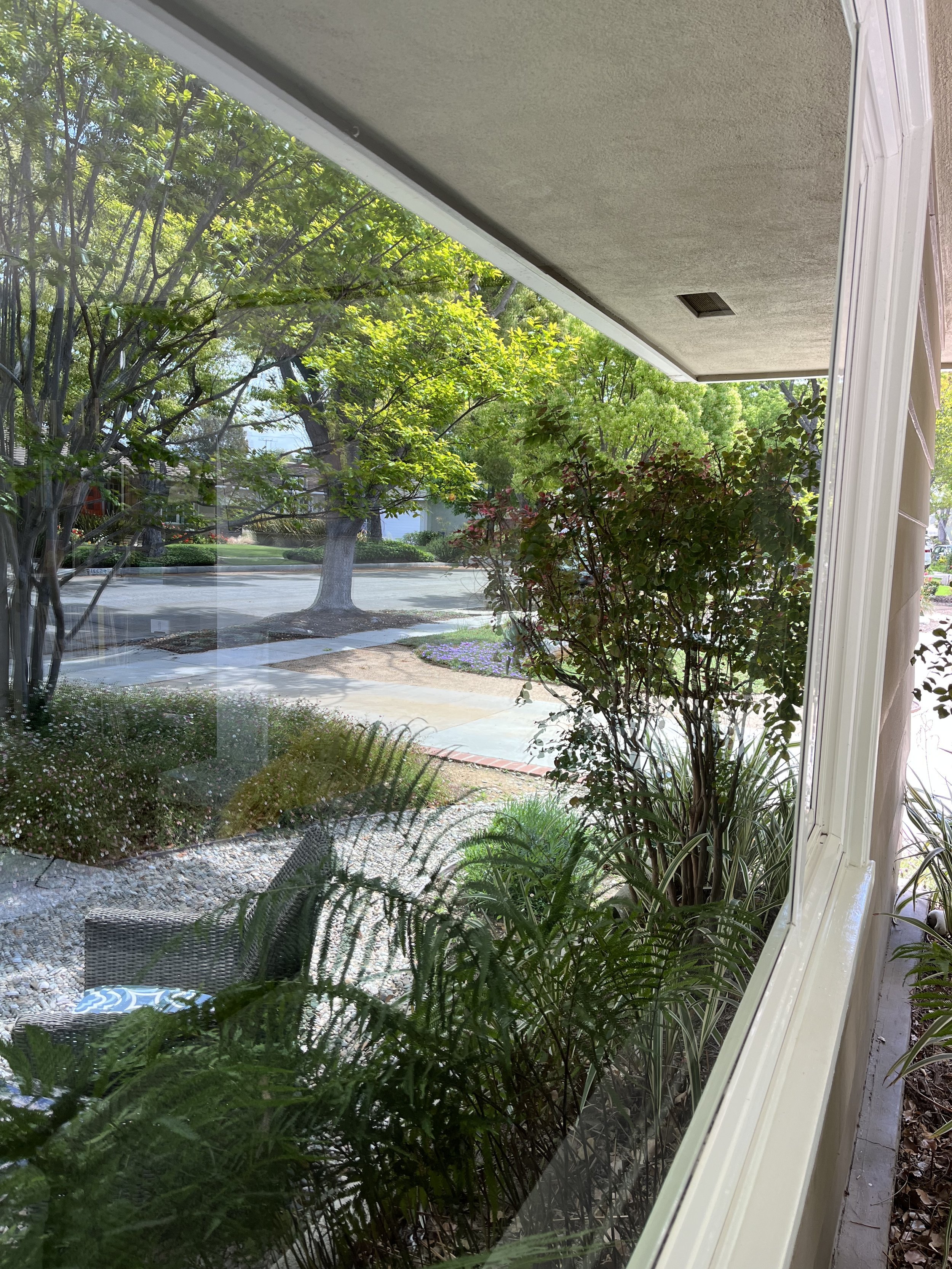 Clean, streak-free residential window reflecting trees and sky after a professional window cleaning service in Long Beach, California. Guru Solar Cleaning delivers detailed exterior window washing using purified water for spotless results and crystal