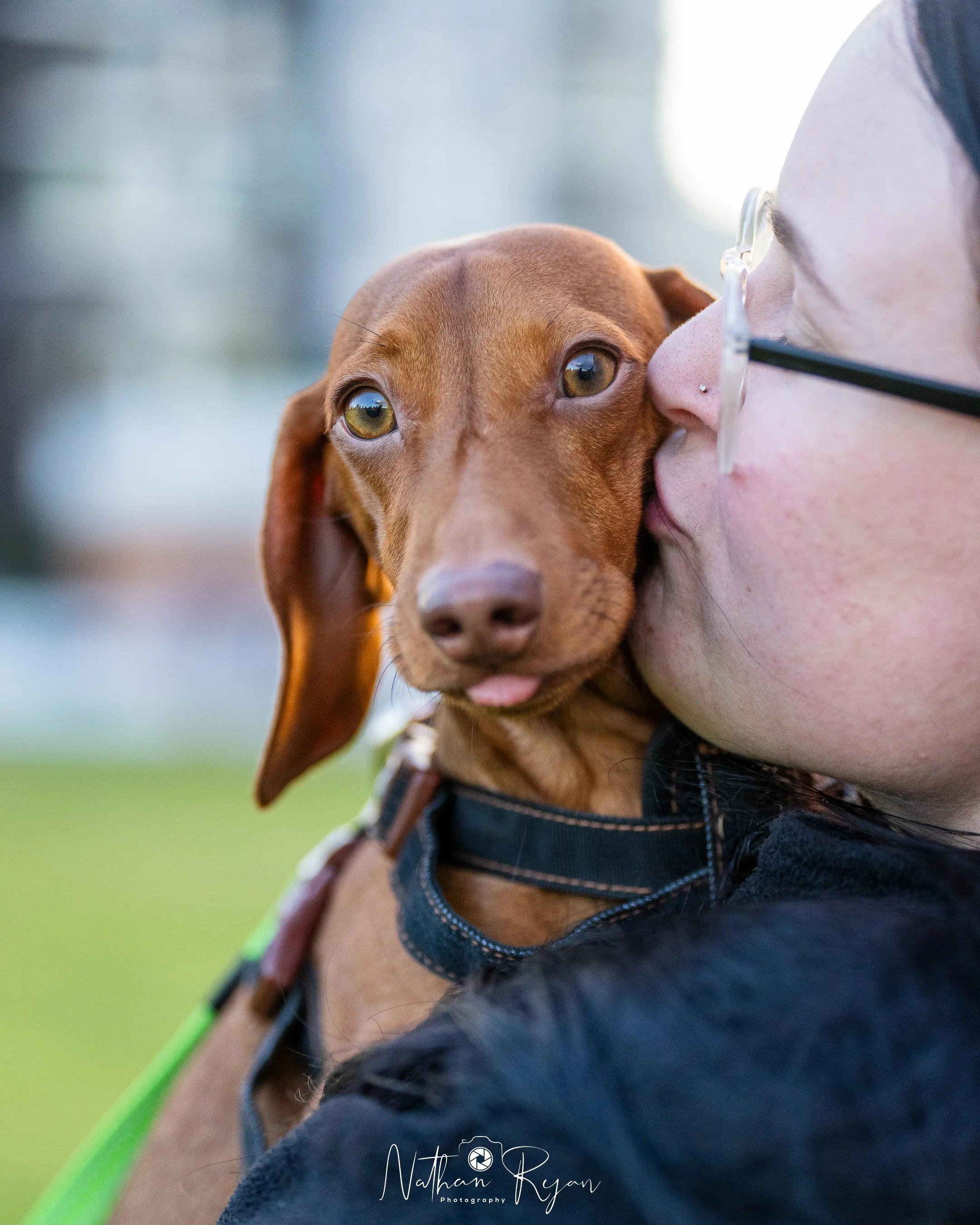 NathanRyan-PetDogs-028.jpg