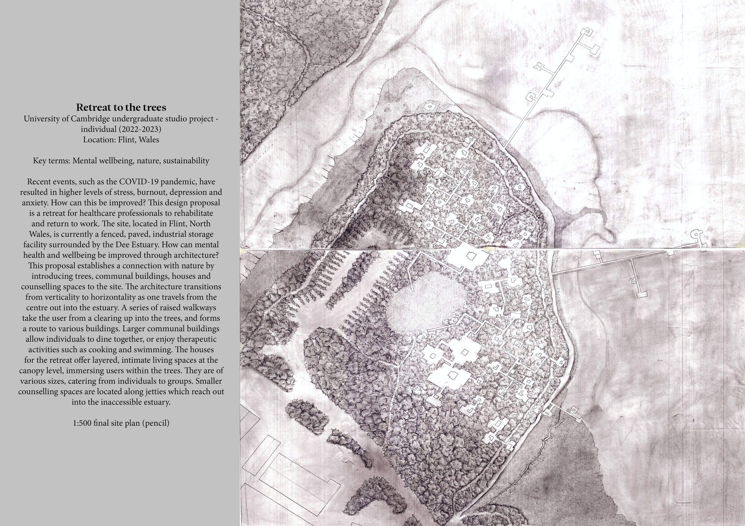 Website portfolio 2:2:24 3rd3.jpg