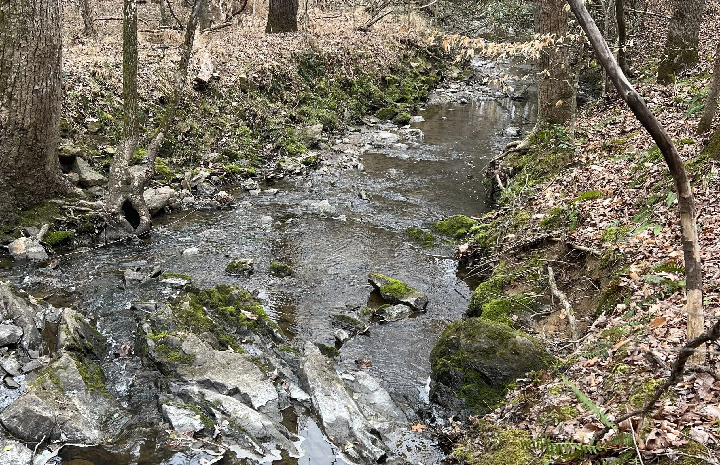 Conservation Easements.jpg