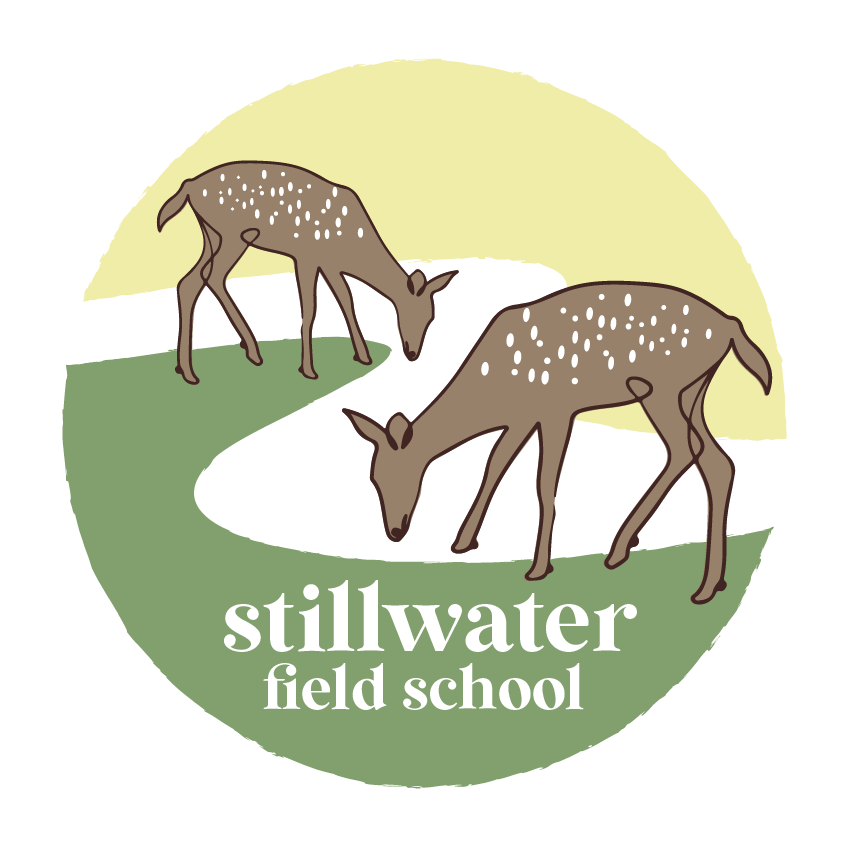 Stillwater Field School