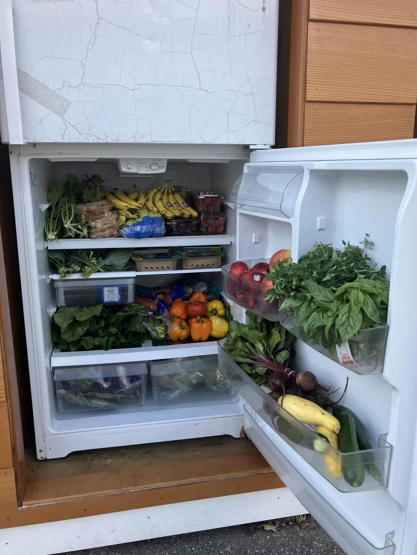 It&rsquo;s been a busy summer and we&rsquo;ve been soaking up all this community love ☀️ 

Sprinkling in some full fridge goodness on your timeline to remind you that we are more powerful when we pull together our resources and engage with systems of