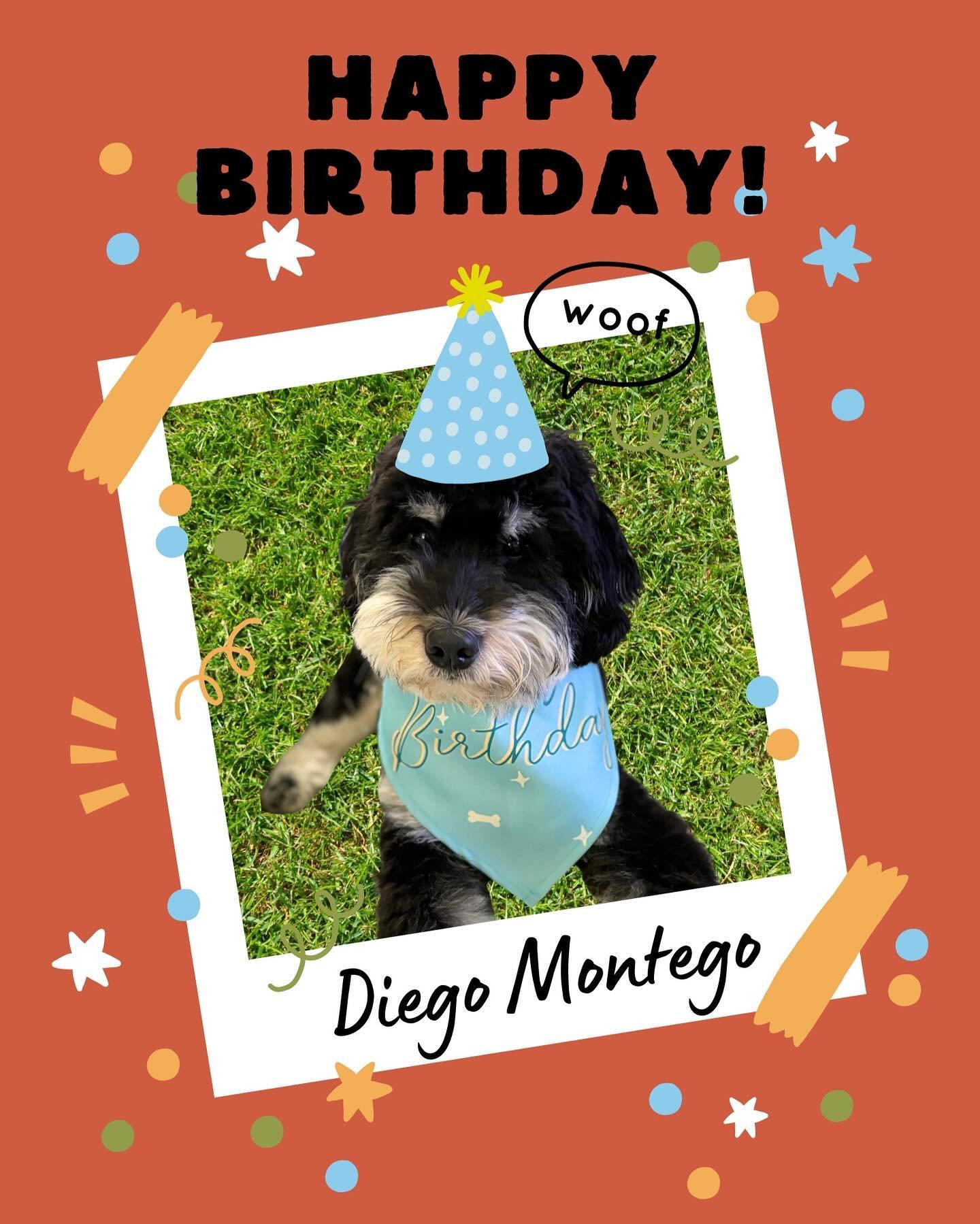 Our Diego Montego turned 1 year old on June 14th!
We loved being present with Diego as he matured and grew over the past 10 months with us. 
His playful and tender nature has evolved to balancing play with knowing when to respond to his mom and set