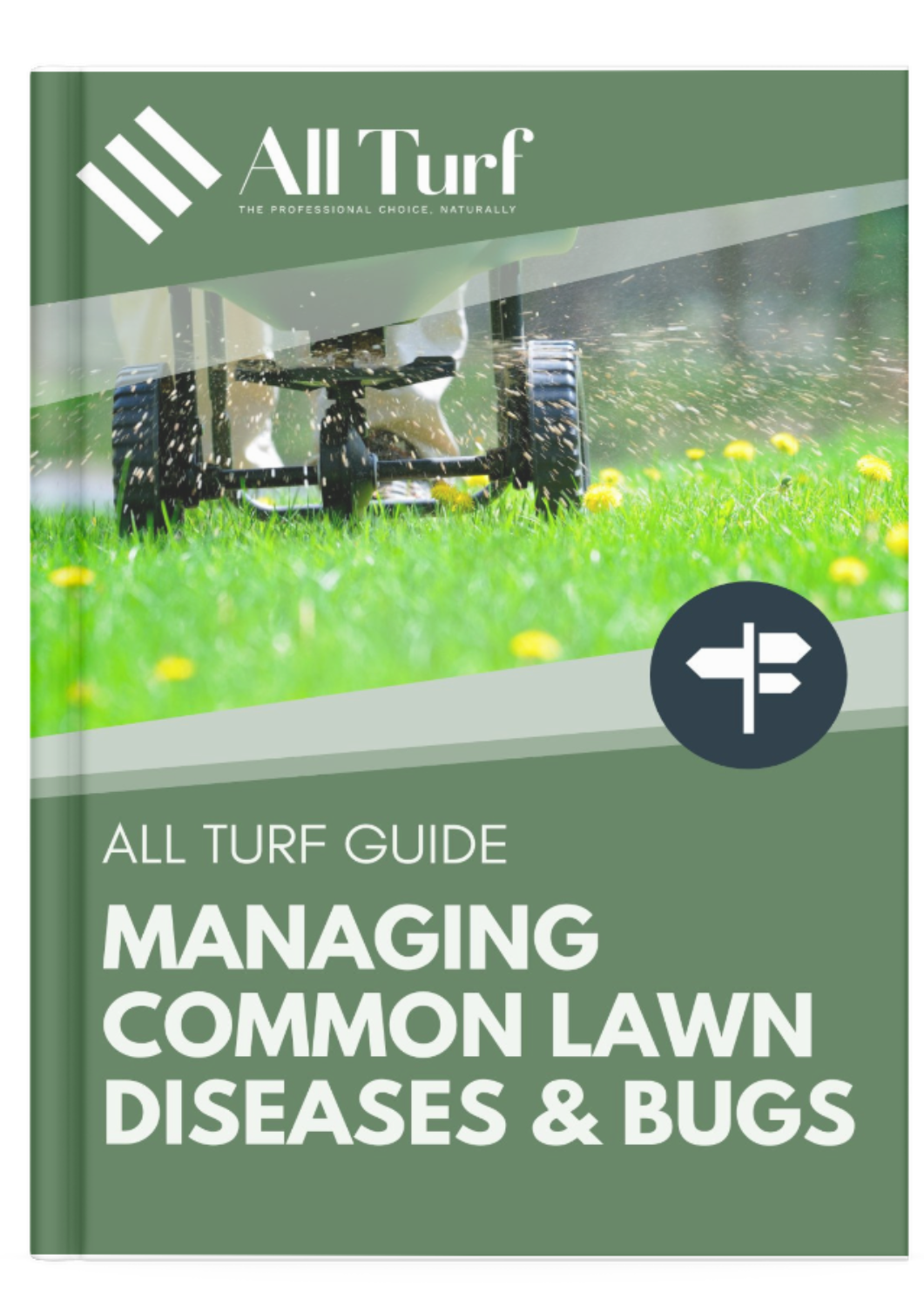 Managing Common Lawn Diseases & Bugs 2.png