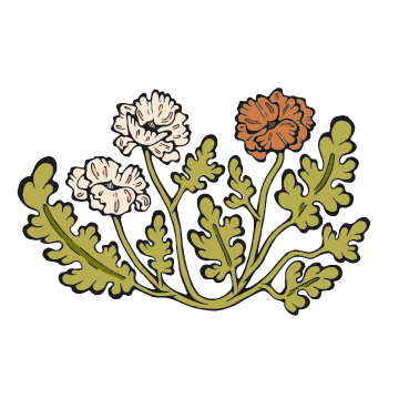 floral 1 copy.png