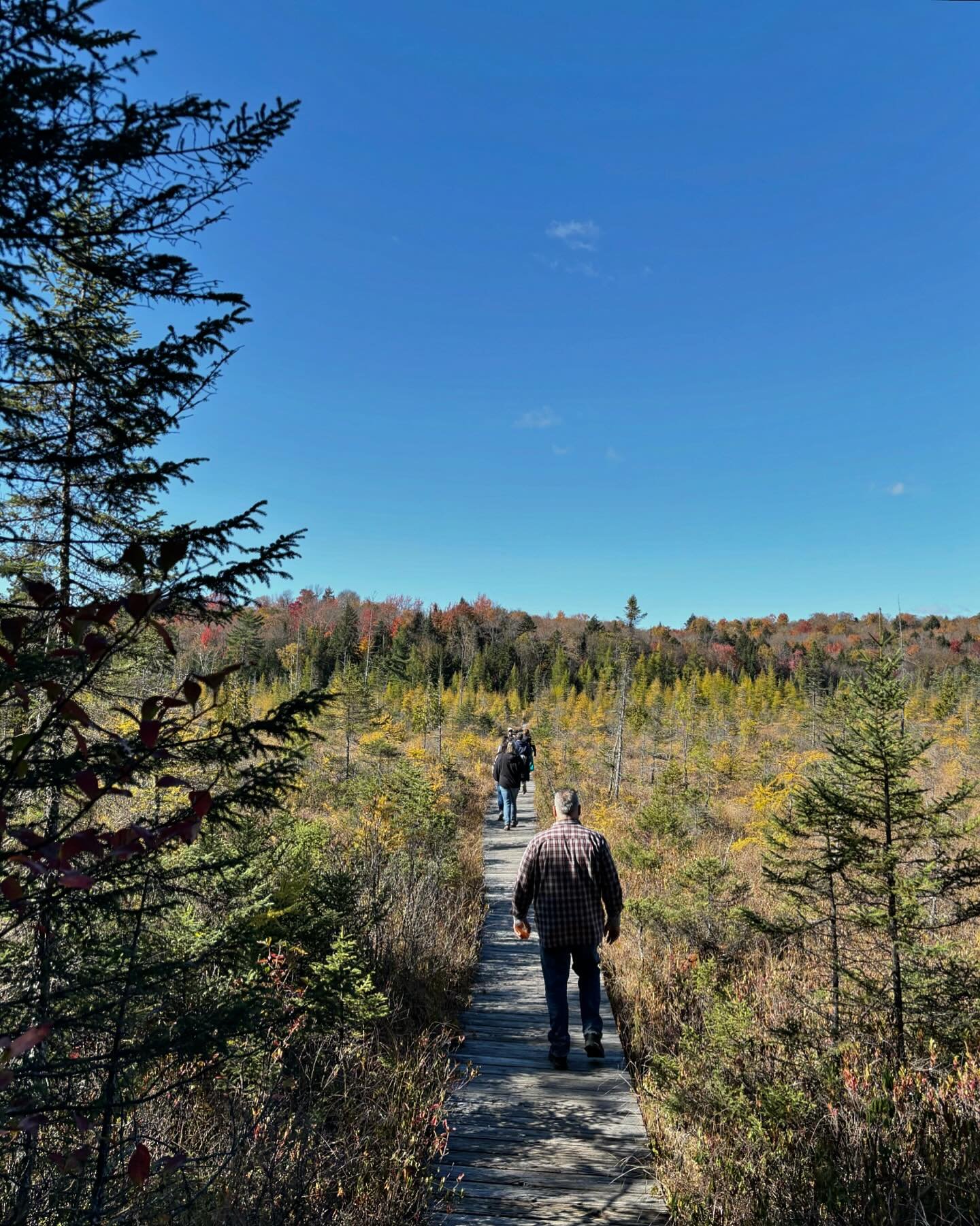 Sustaining Gratitude is one of our REST pathways to wellness. Gratitude isn&rsquo;t just a feel-good emotion&mdash;it&rsquo;s a game-changing practice for your brain and body! Research shows that practicing gratitude boosts happiness, strengthens rel