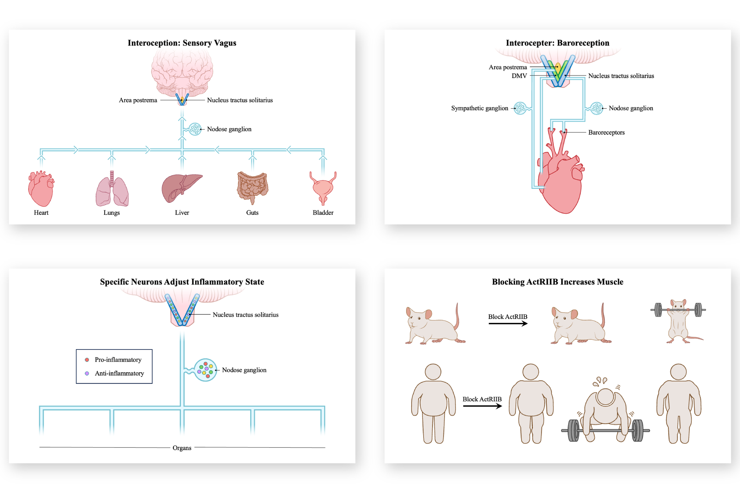 Drug Design Presentation