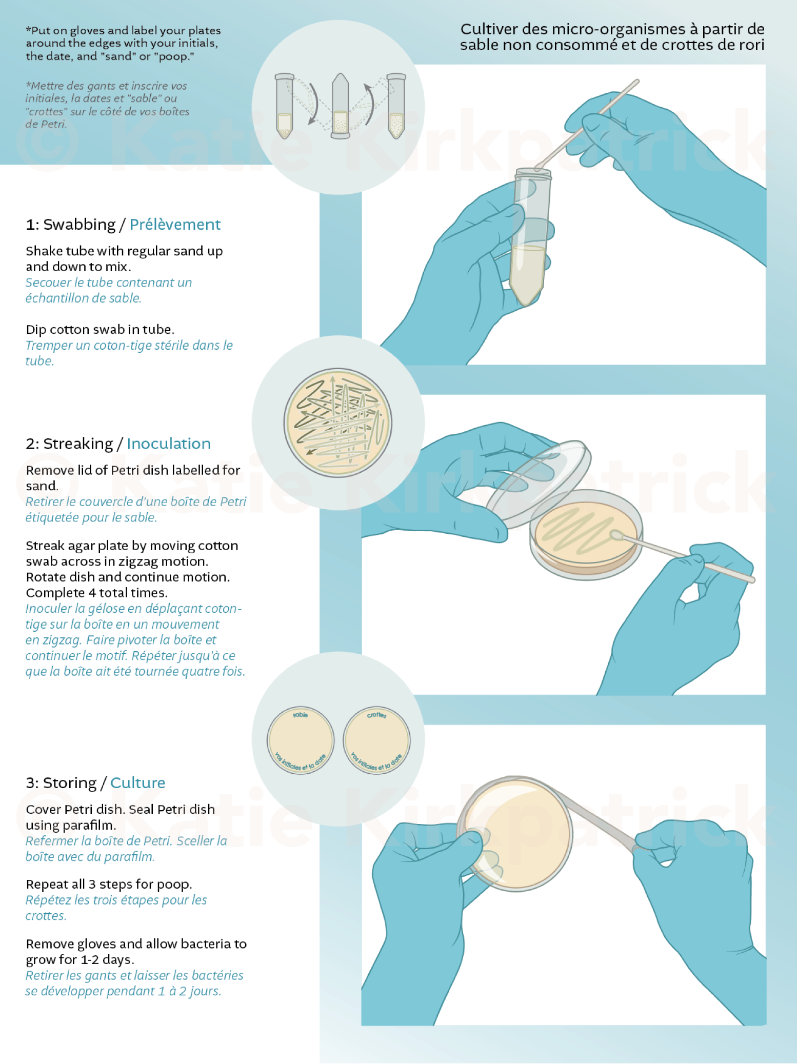 Sea Sand Microbes Activity Protocol