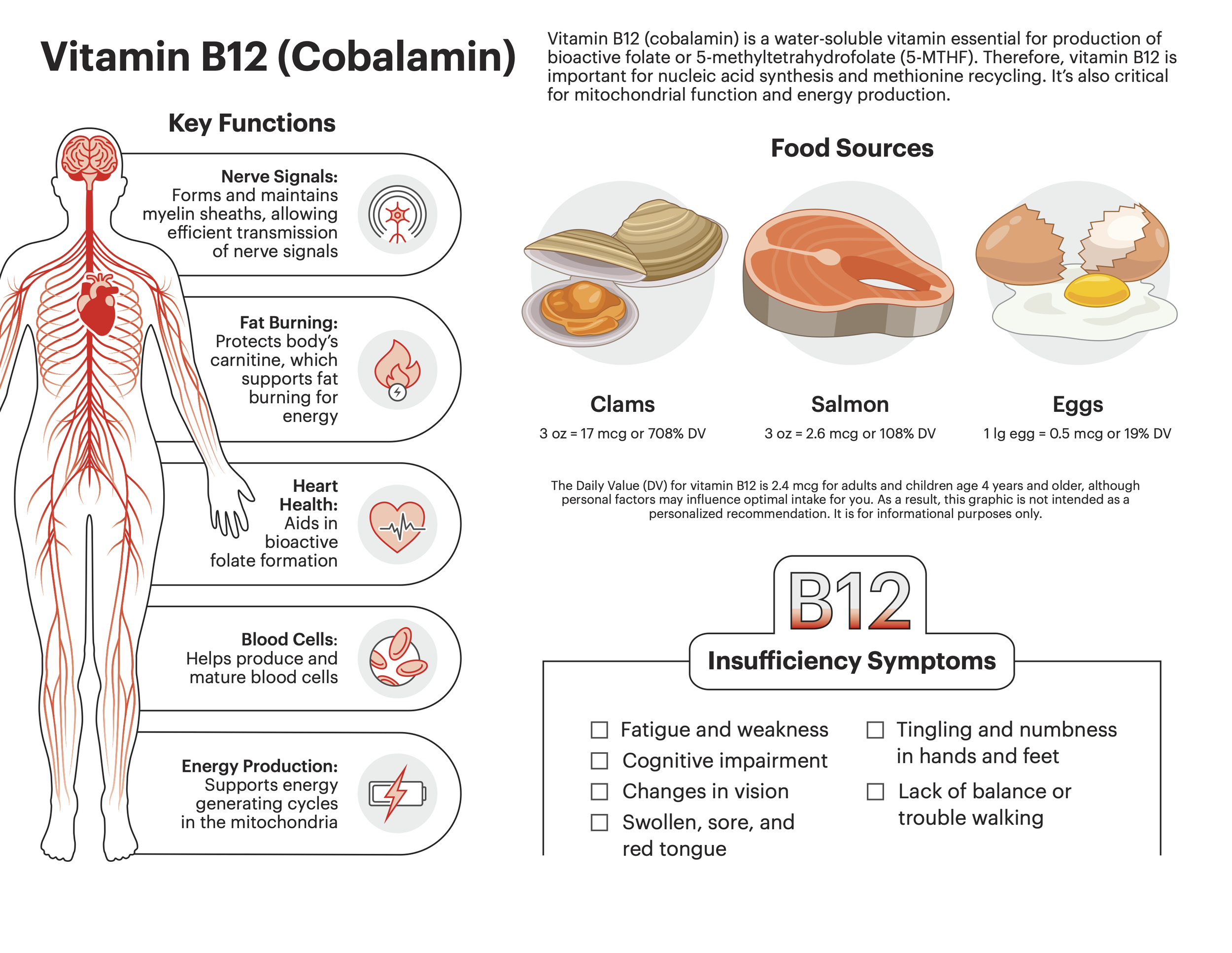 Women's Health Report Infographic Pages