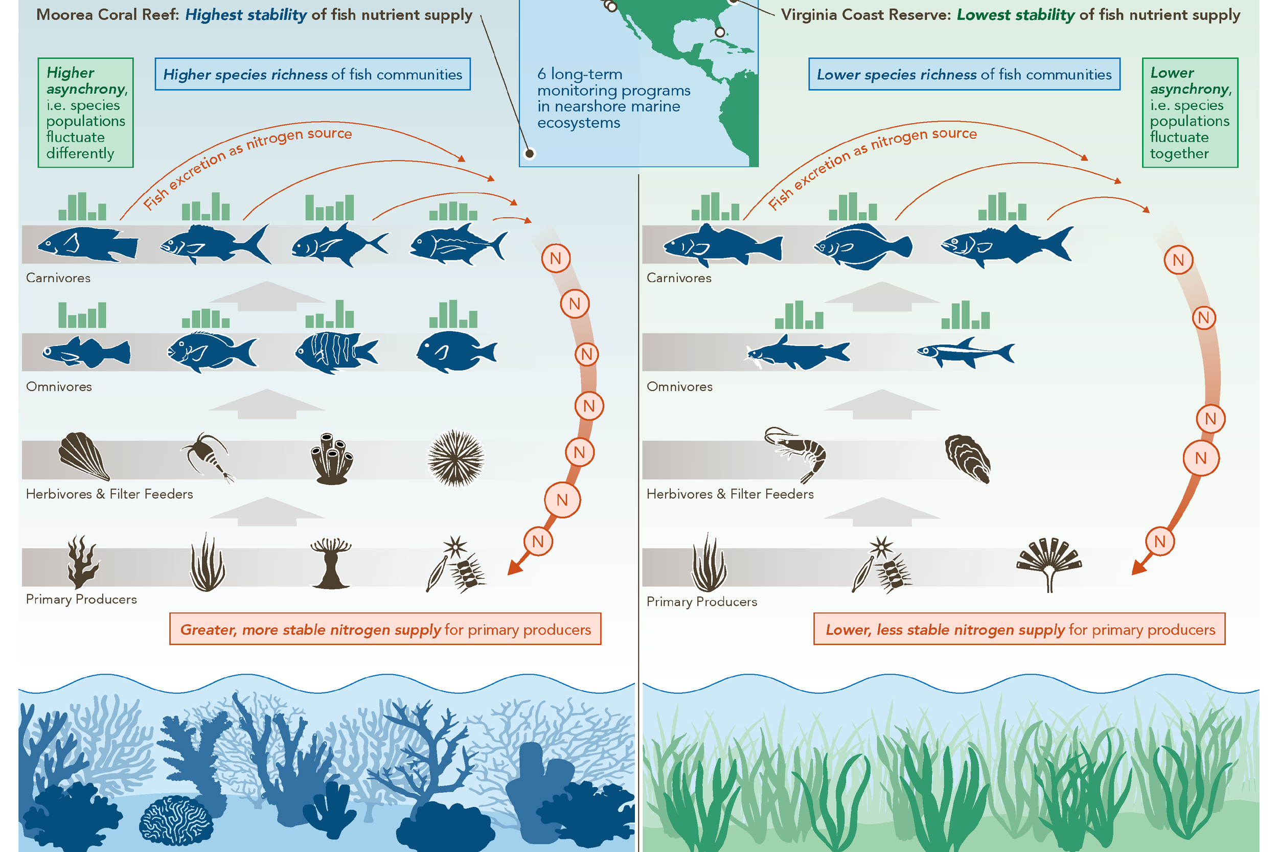 Fish Nutrient Supply