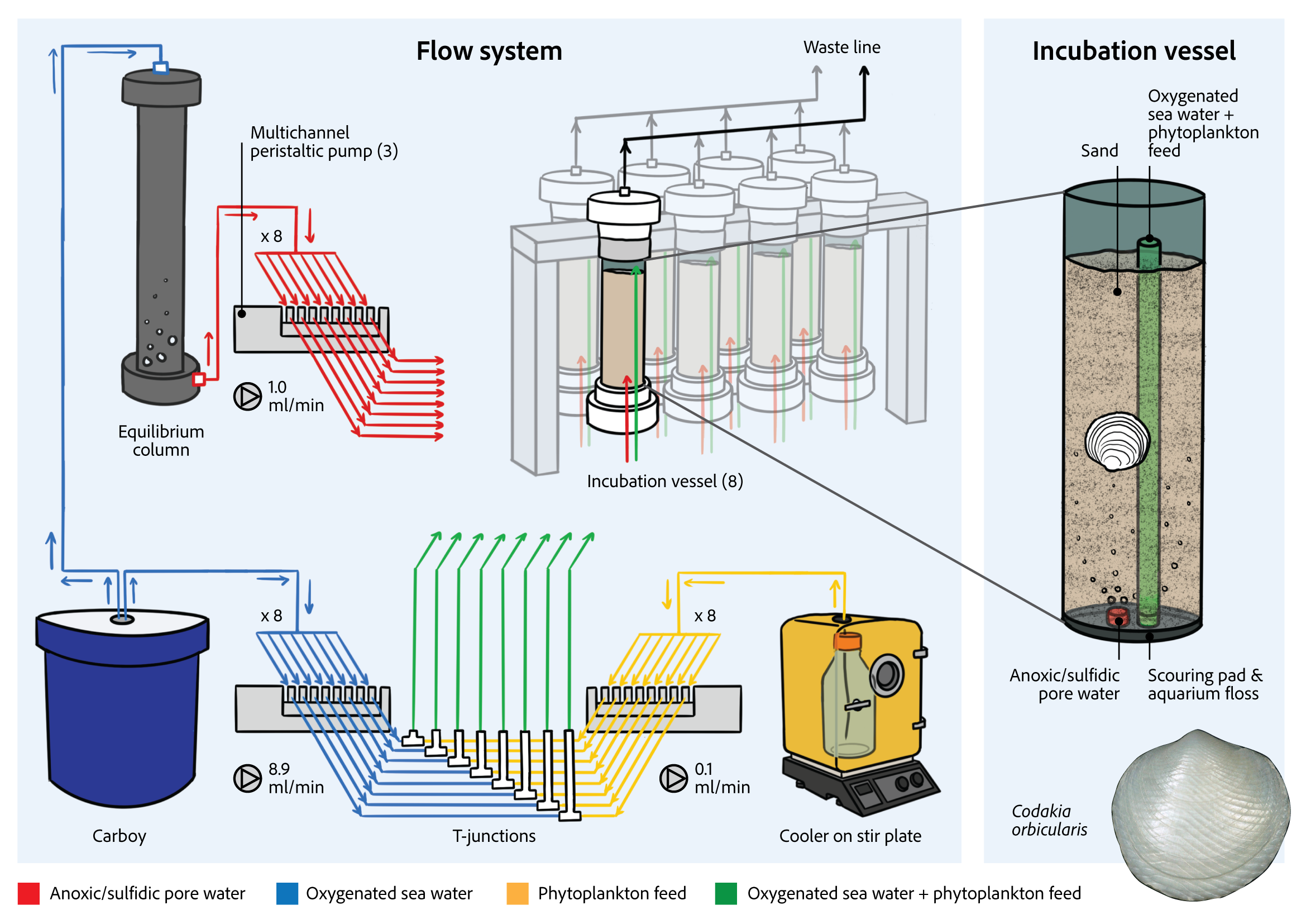 Second digital color sketch with added text