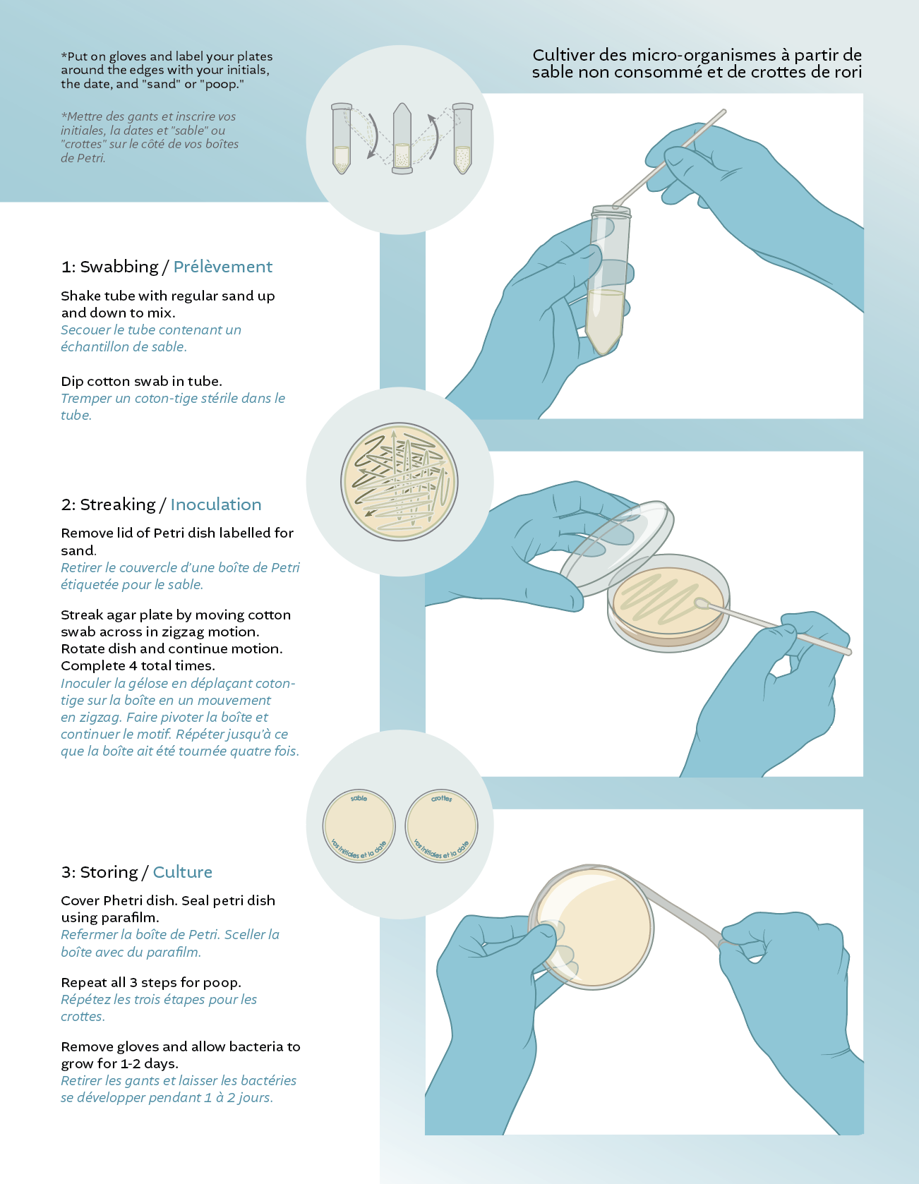 Sea Sand Microbes Activity Protocol