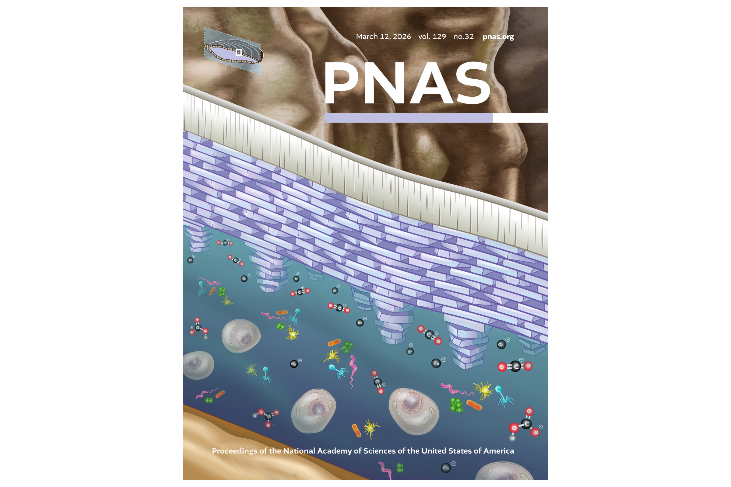 PNAS Cover Submission