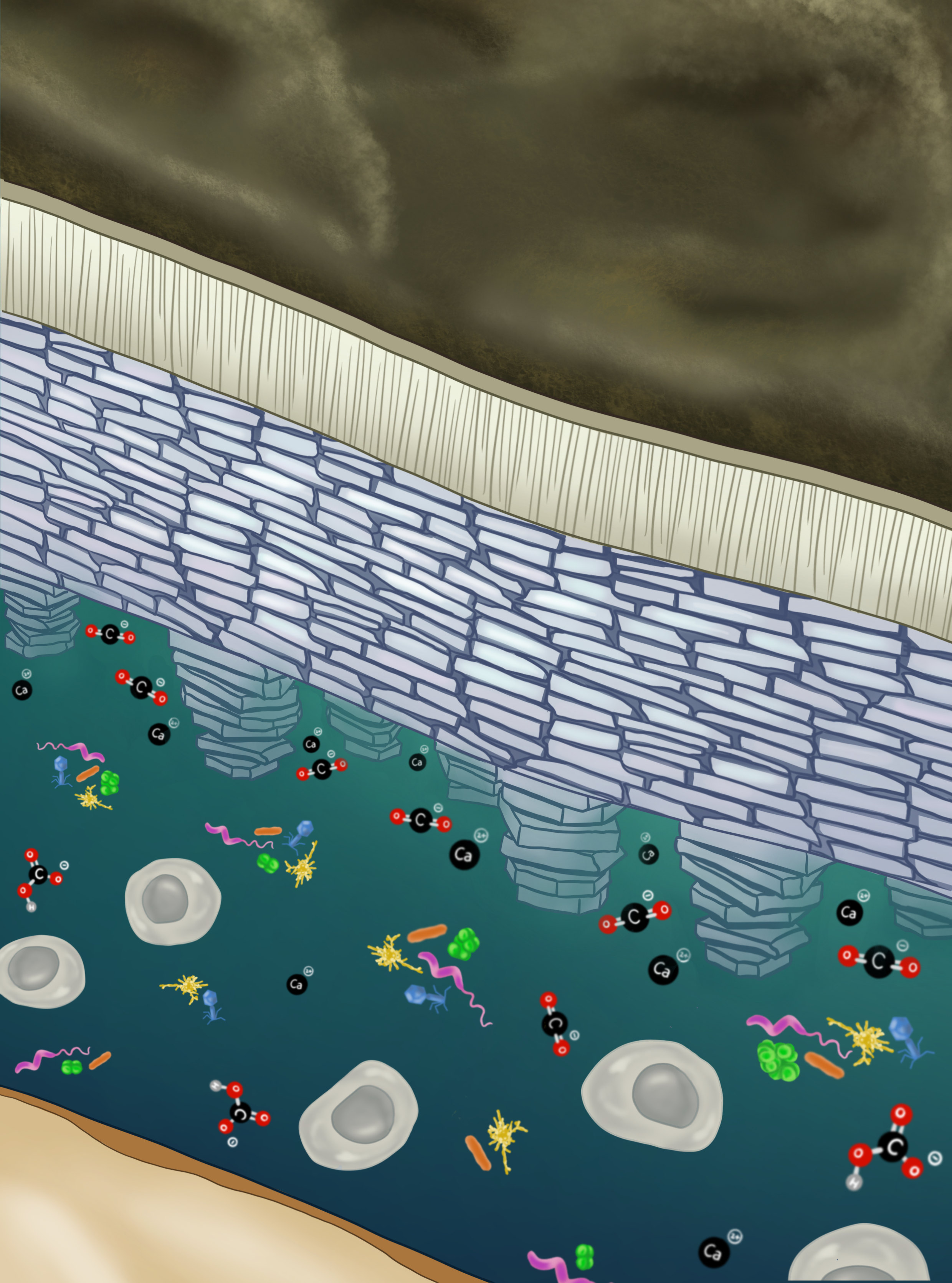 Color Sketch in Procreate