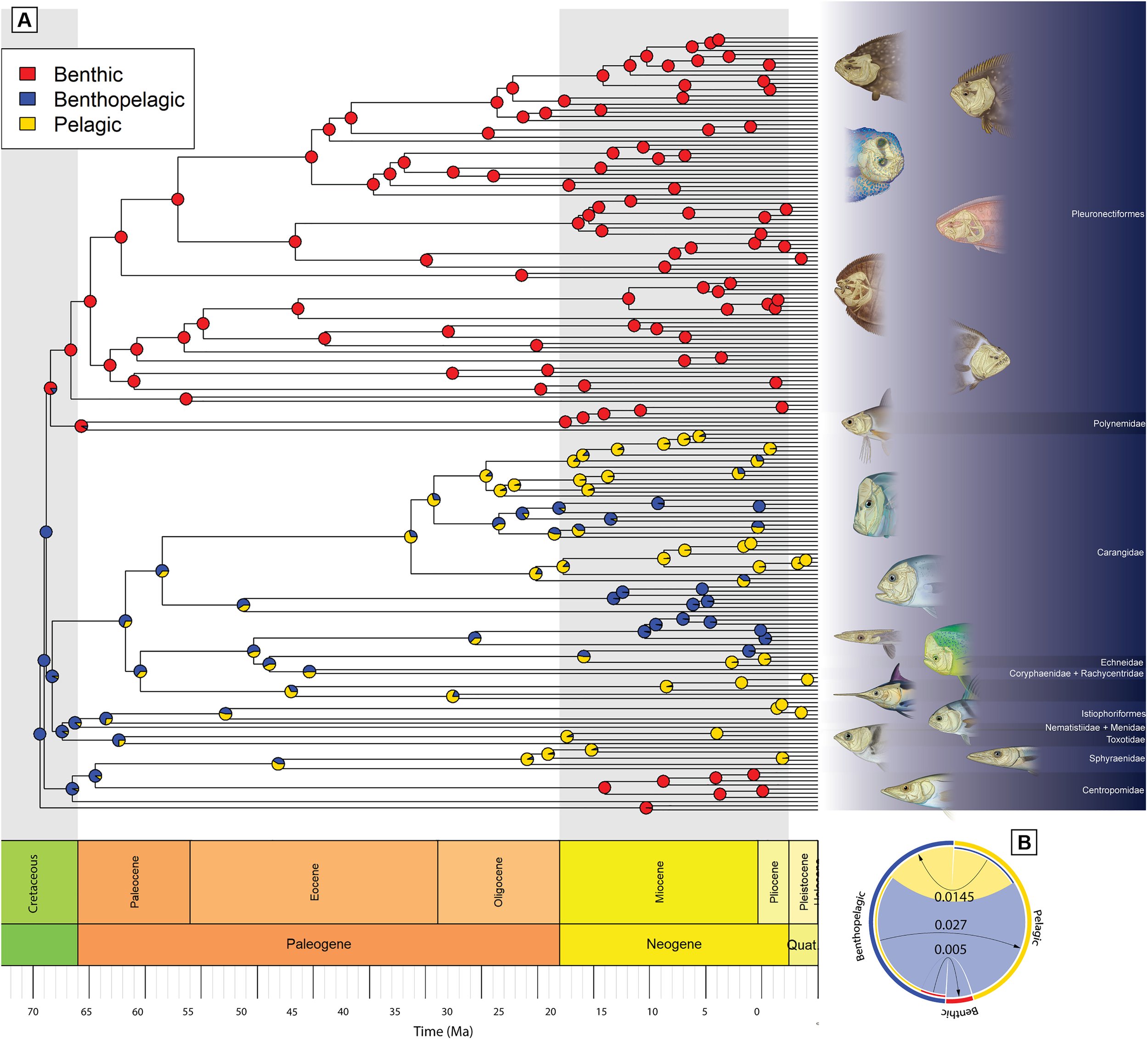 16 illustrations arranged in Fig. 1