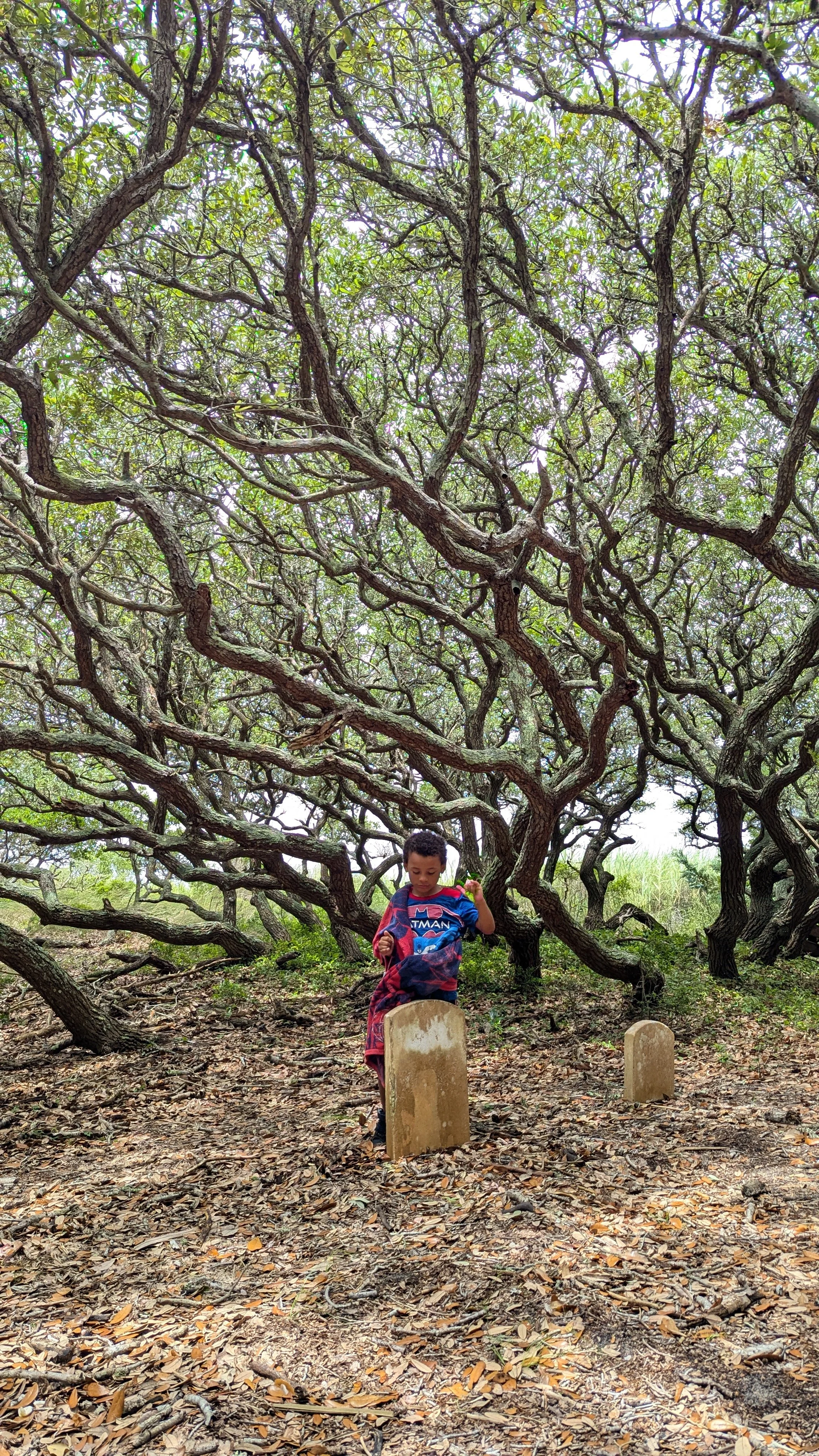 The Old Villages of Hatteras Island — More Than Just a Vacation Spot