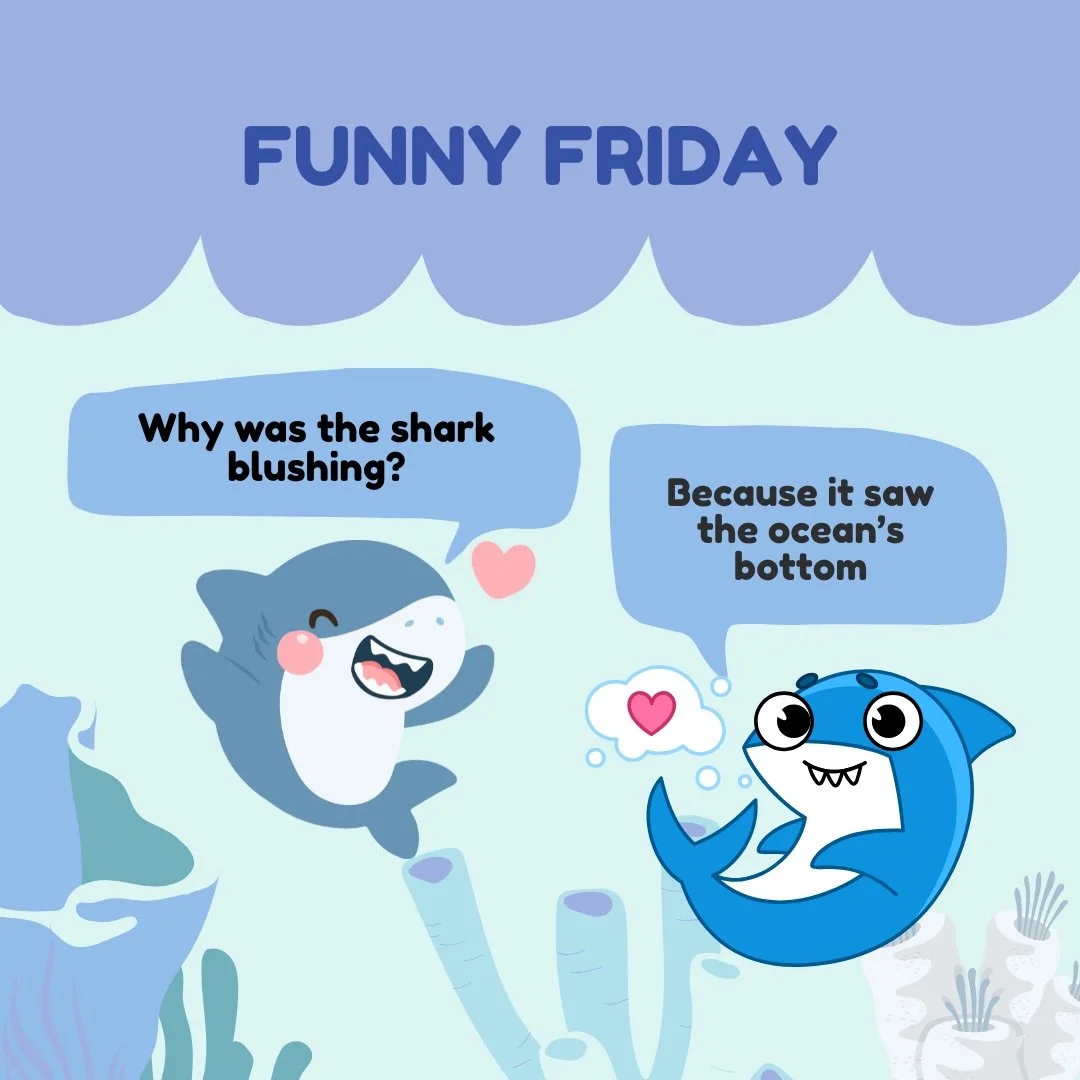 And again&hellip; 😂 #FRIDAYFUNNY