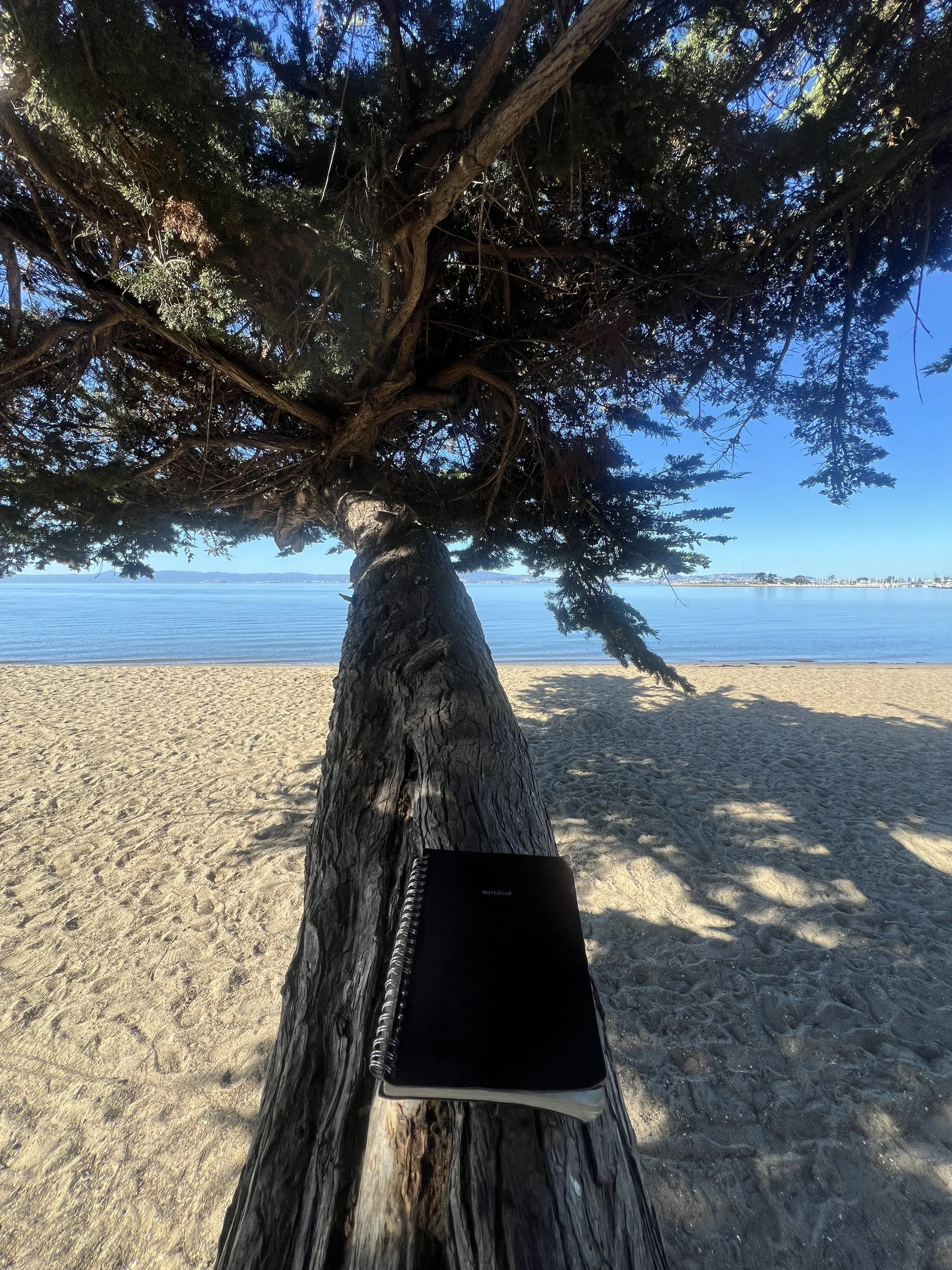 Lessons from the ground