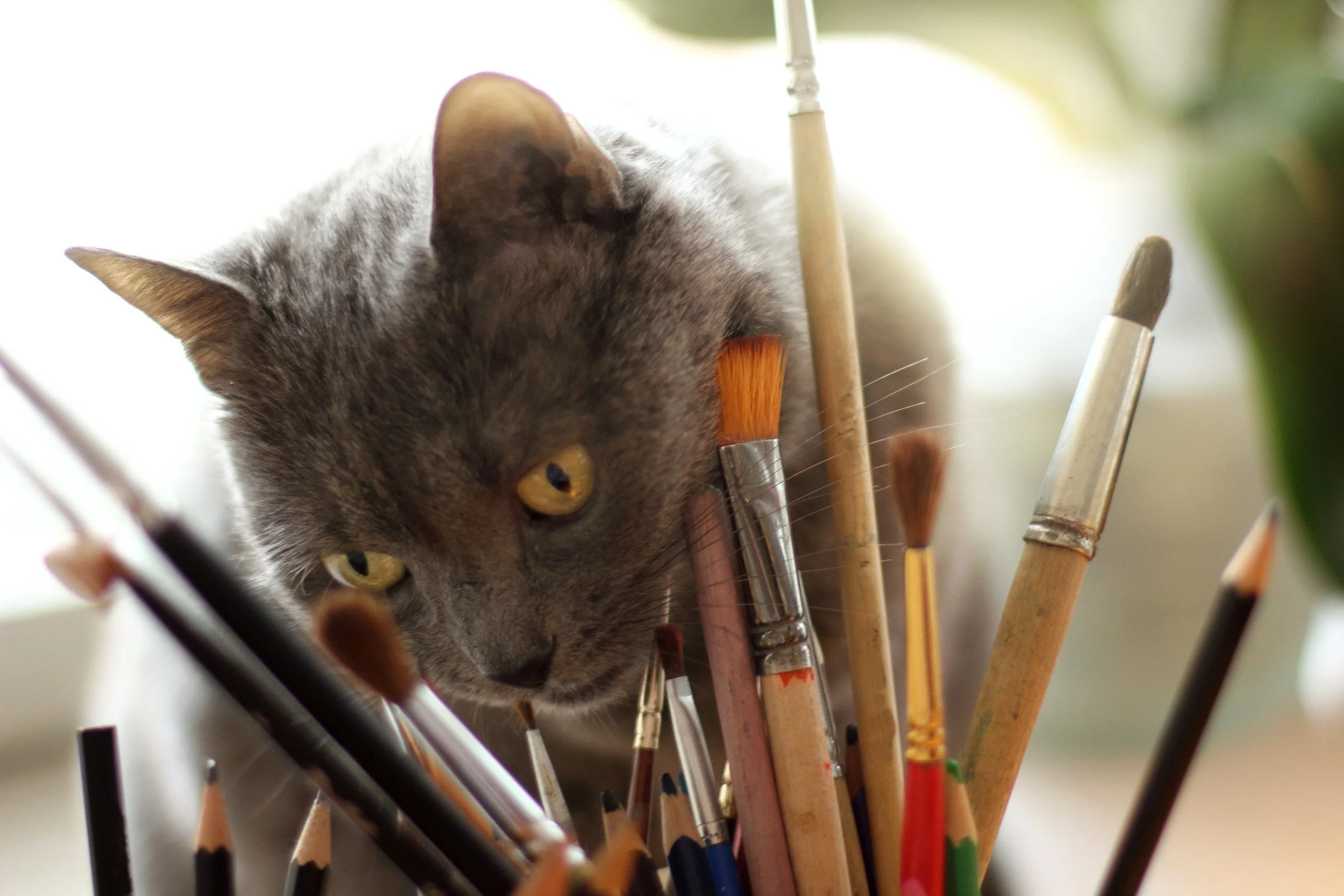cat painting